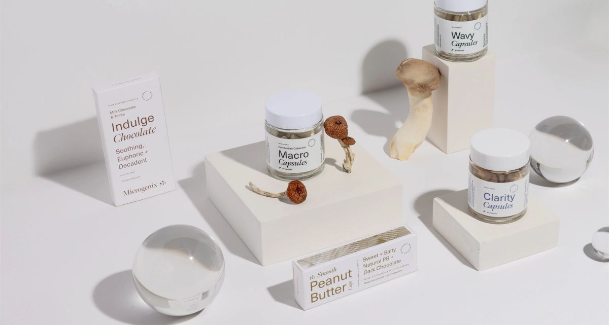 Flat lay of the capsule jars and chocolate bars staged with dried mushrooms