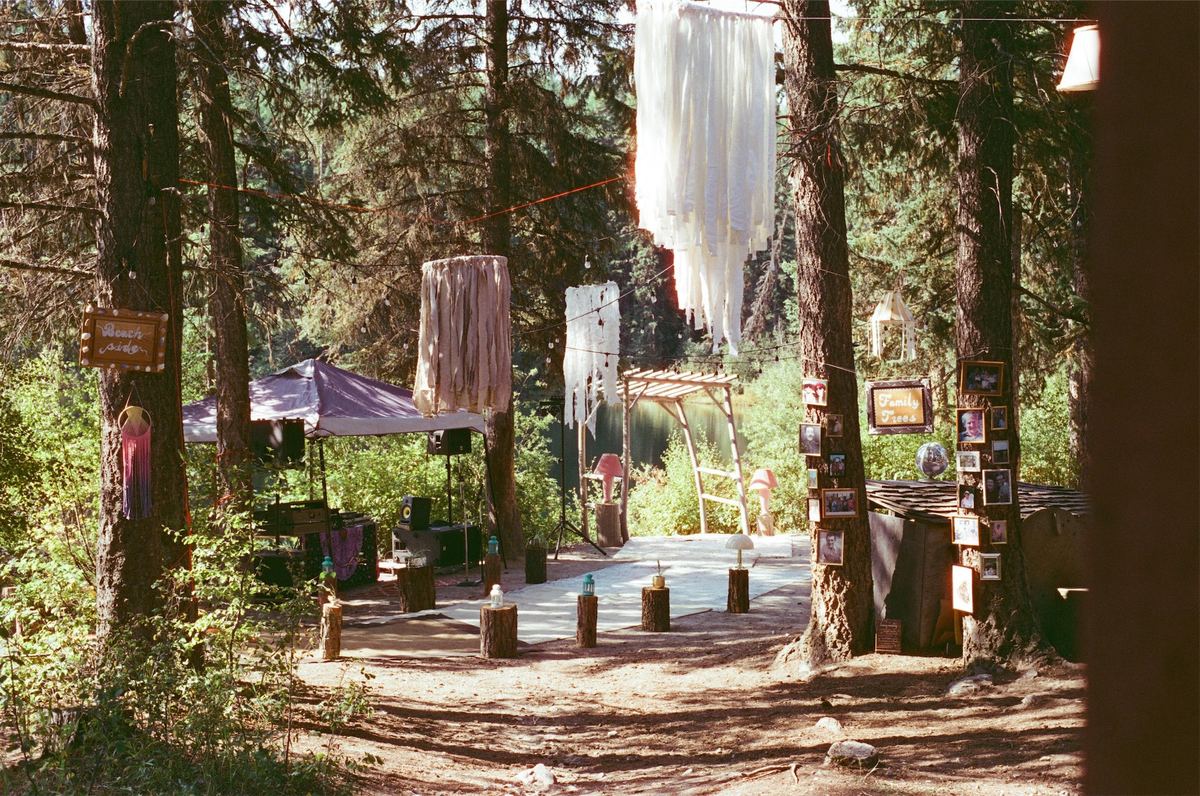 Forest ceremony site with hanging fabric strung between tall pines