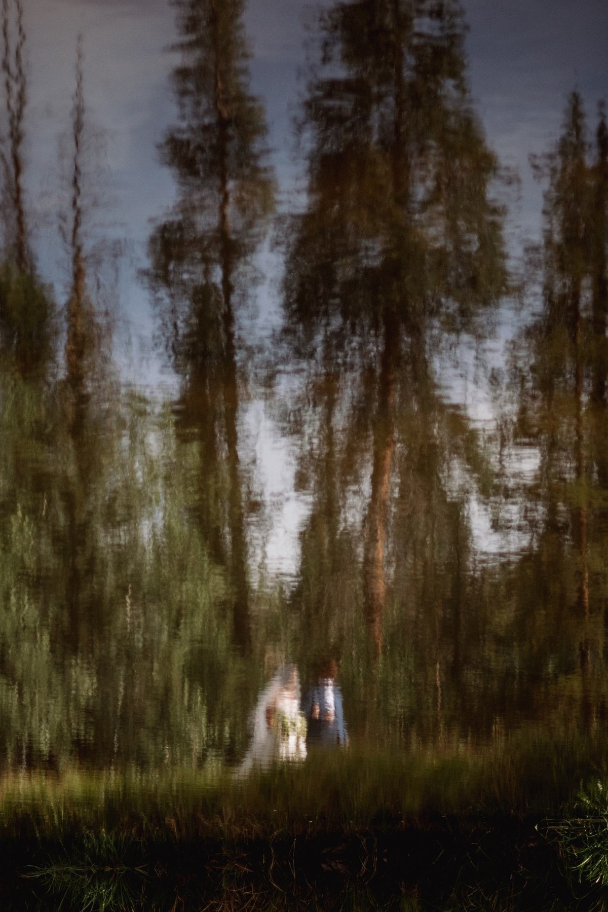 Devin and Owen reflected in the pond among the pines at a mountain ranch among the aspens