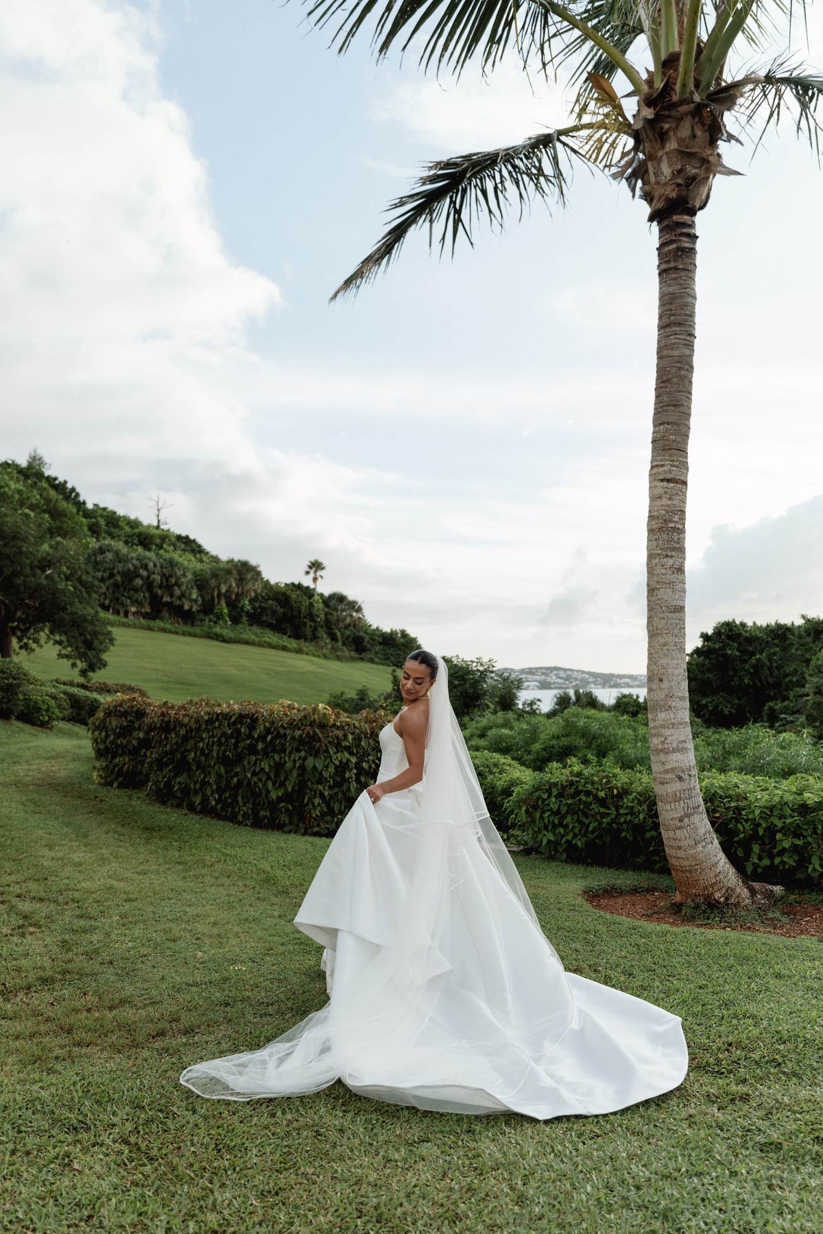 Bride under a palm tree on a green lawn above the water at Rosewood Bermuda