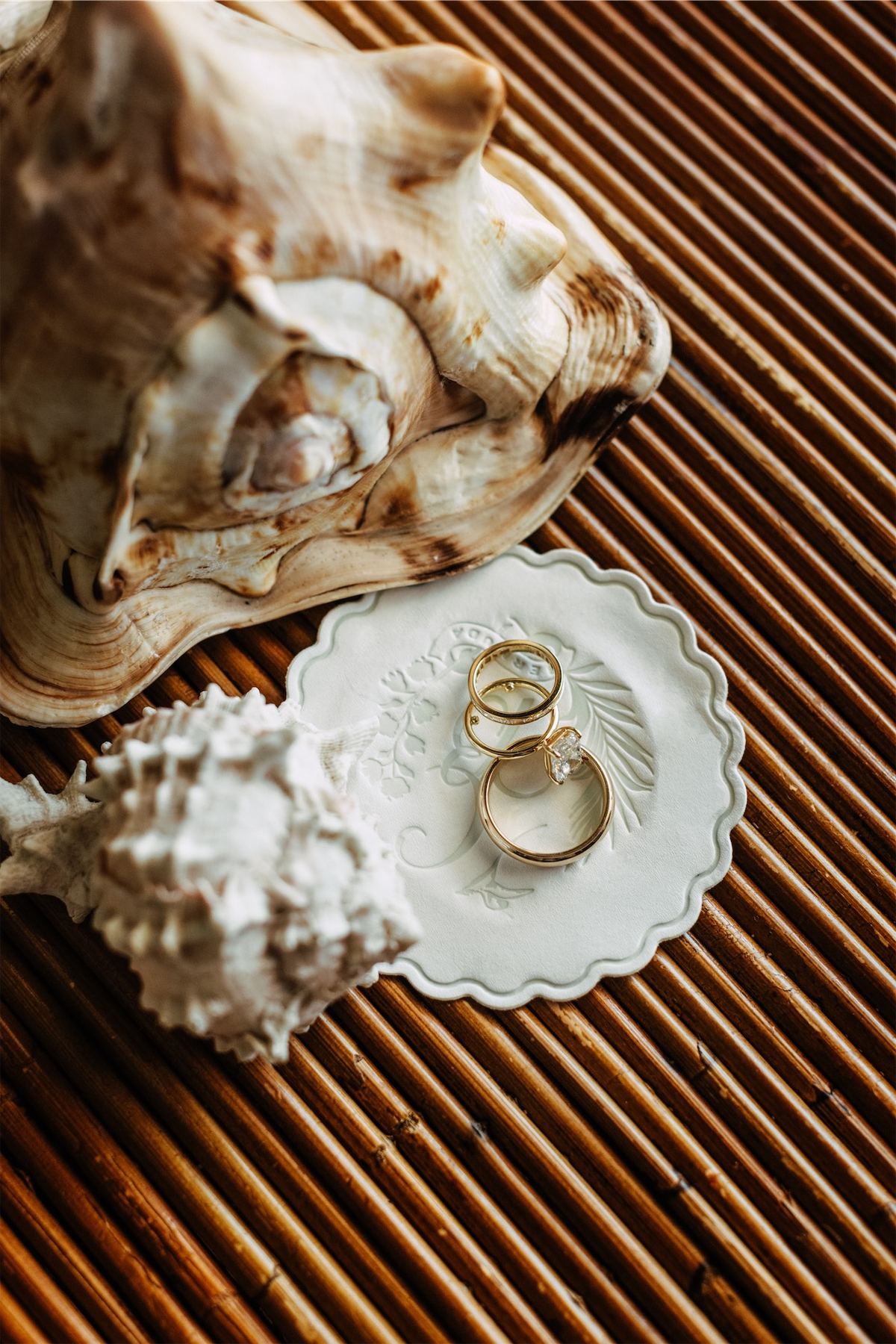 Wedding rings on a small dish beside a conch shell on a wooden table