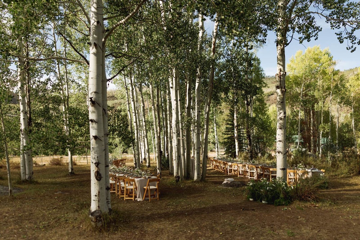 Long reception tables set beneath the aspen grove at a mountain ranch among the aspens