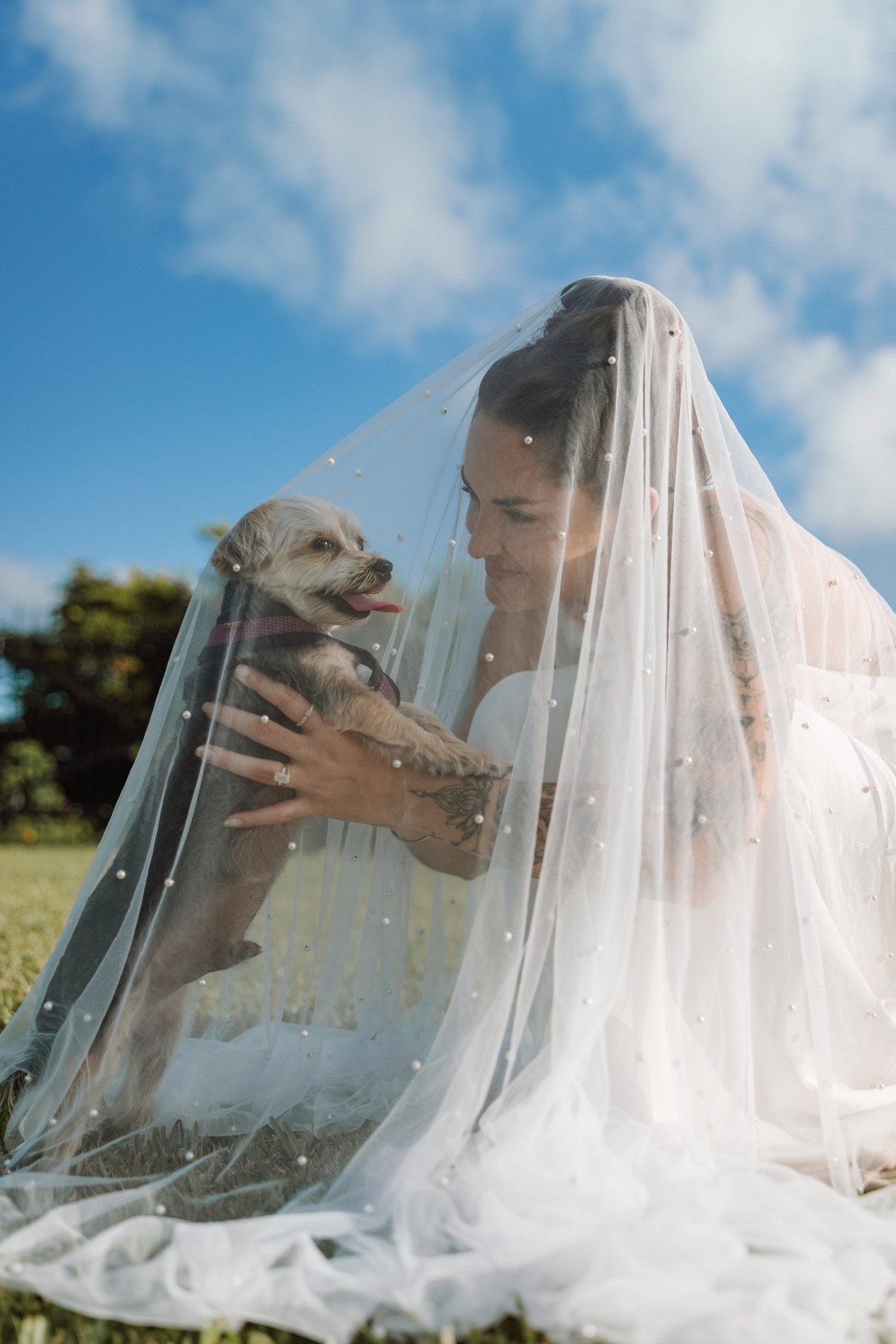 Bride kneeling under her pearl veil holding the couple's dog against a blue sky