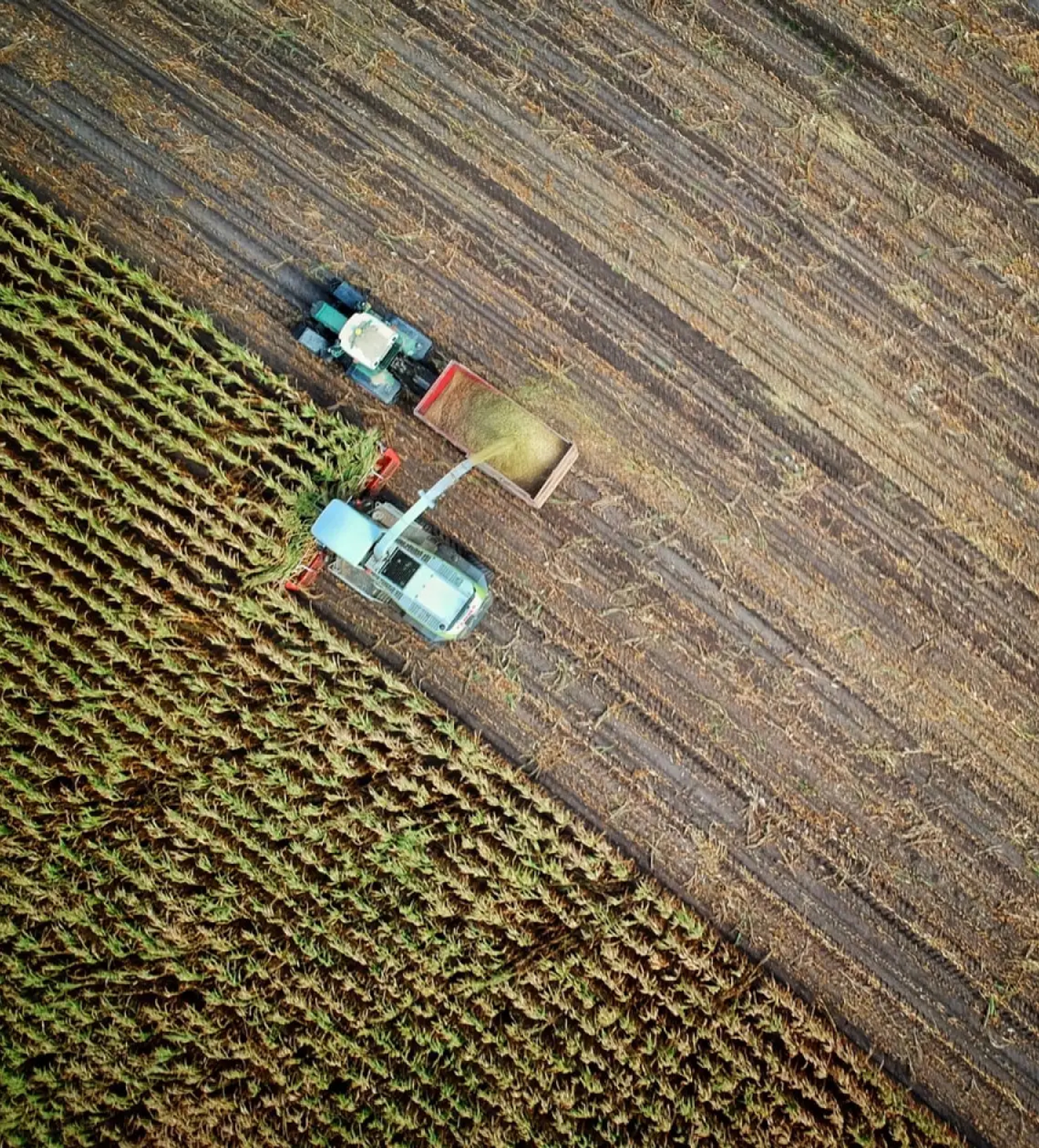 Agriculture