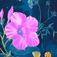 Pink and orange flowers on a blue background