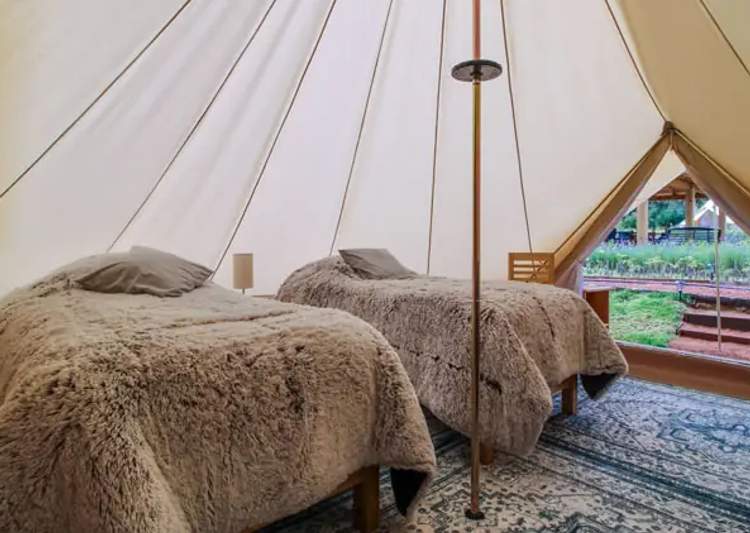 Glamping site detail