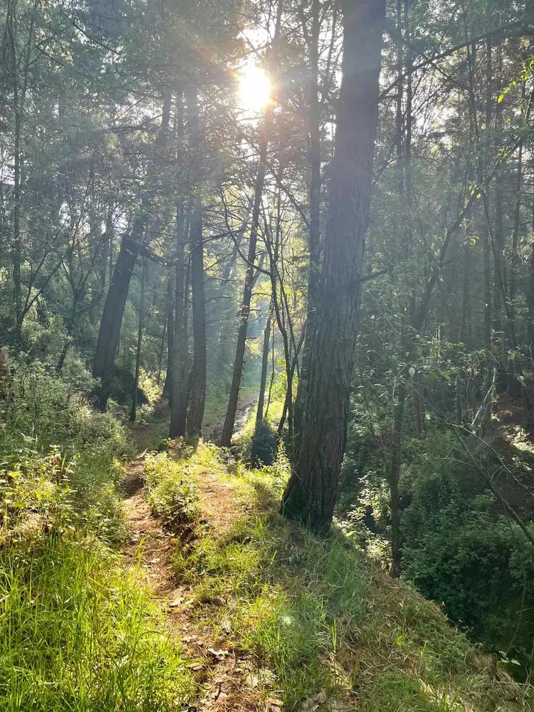 Guided Mountain Hikes 3