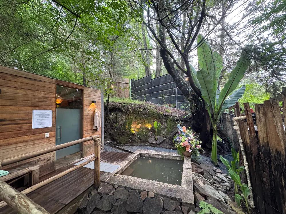 A quiet view of the Natural Spring Mikvah at Attesi with mossy boulders in the foreground and a tree arching overhead