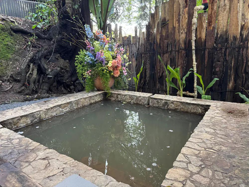 The Natural Spring Mikvah at Attesi, with a tree leaning over the clear spring-fed pool and a wooden boardwalk curving around the rim