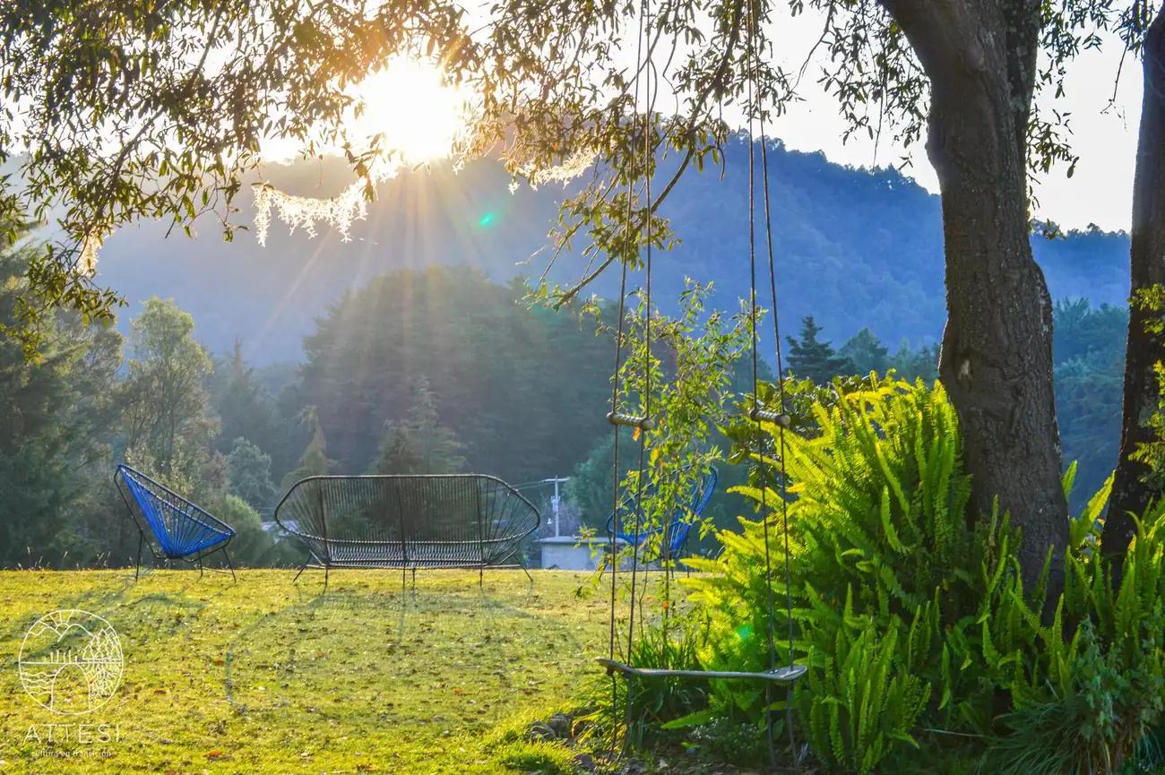 Acapulco chairs and swing bench in the garden at sunrise