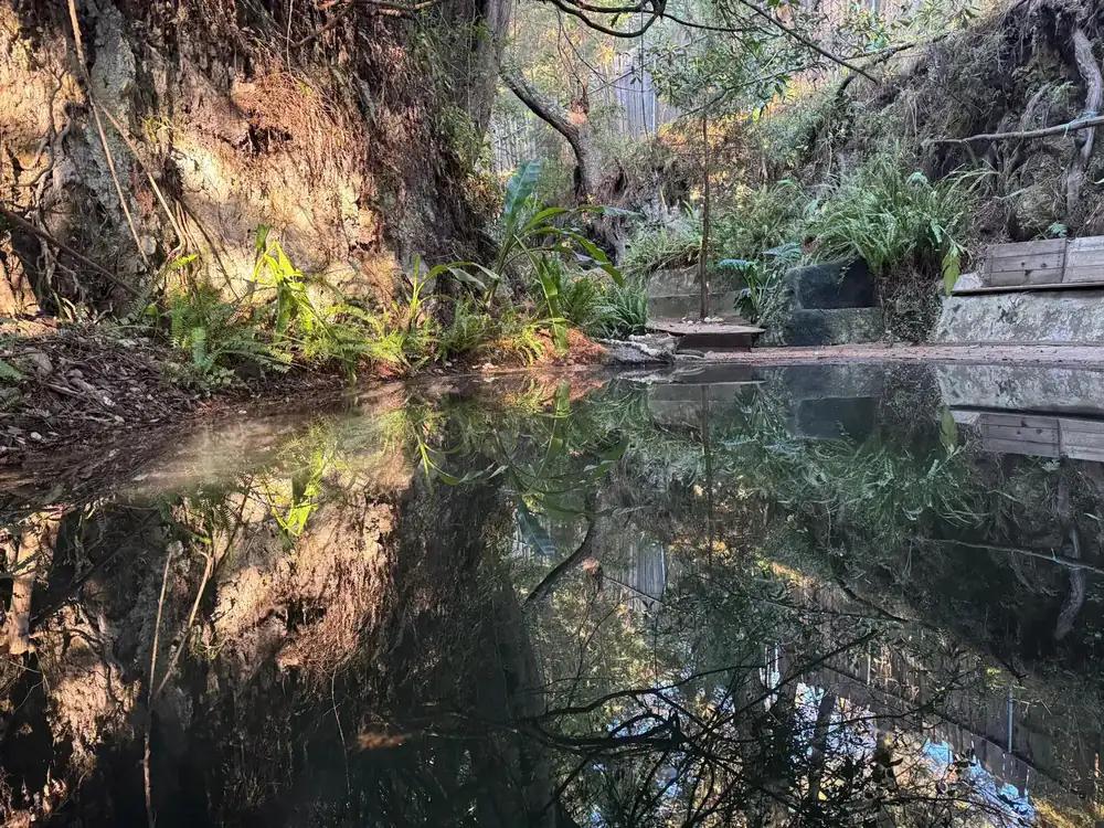 Reflections on the natural spring feeding the cold plunge at Attesi