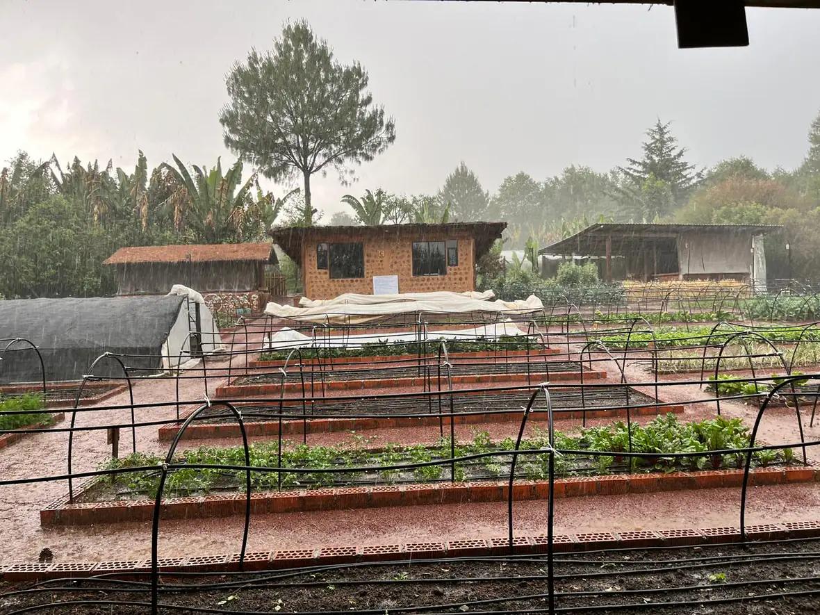 Huertos Garden 5