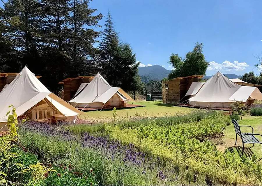 Glamping
