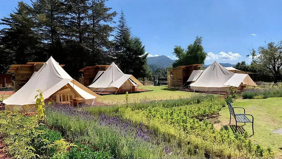Glamping