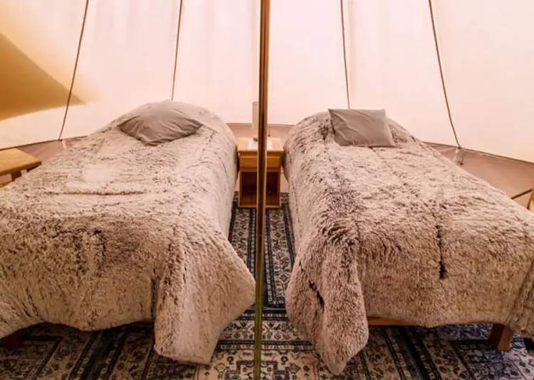 Glamping site detail