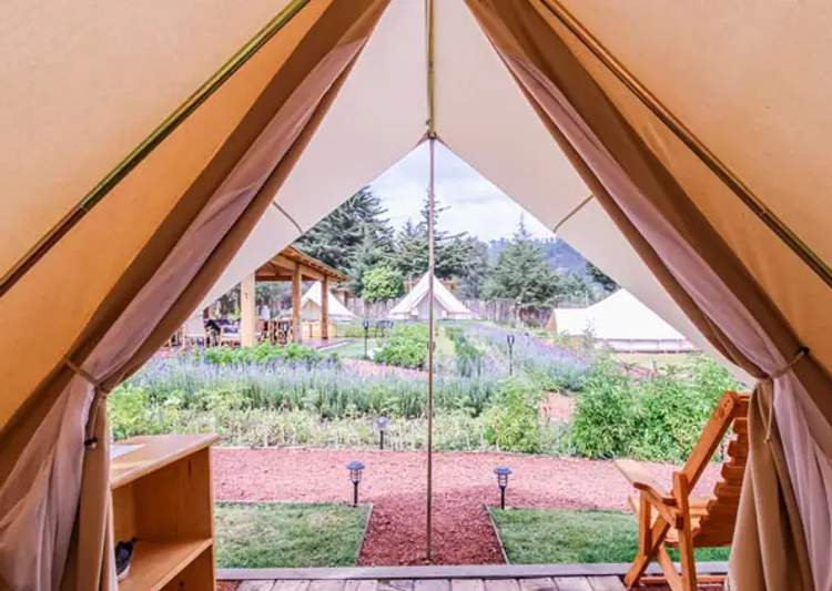 Glamping site detail