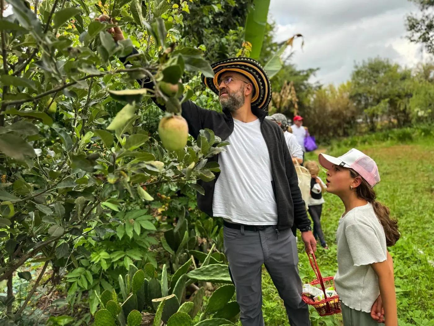 Huertos Garden 6