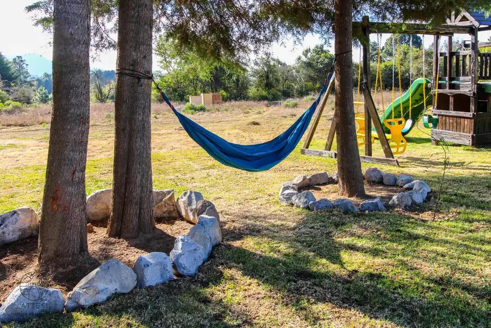A hammock strung between pines on the Attesi grounds, with a small playground in the background