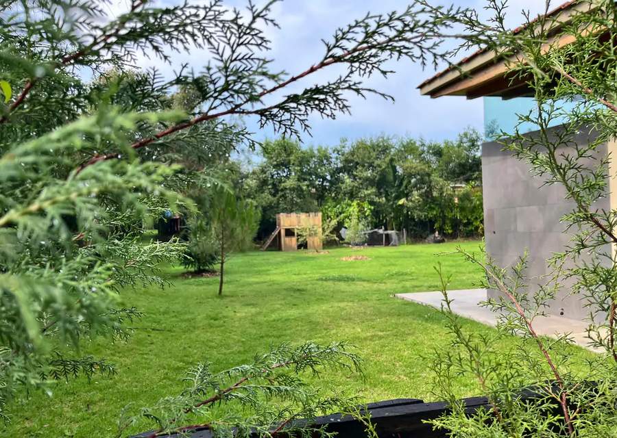 Garden lawn beside Villas Norte framed by evergreen branches