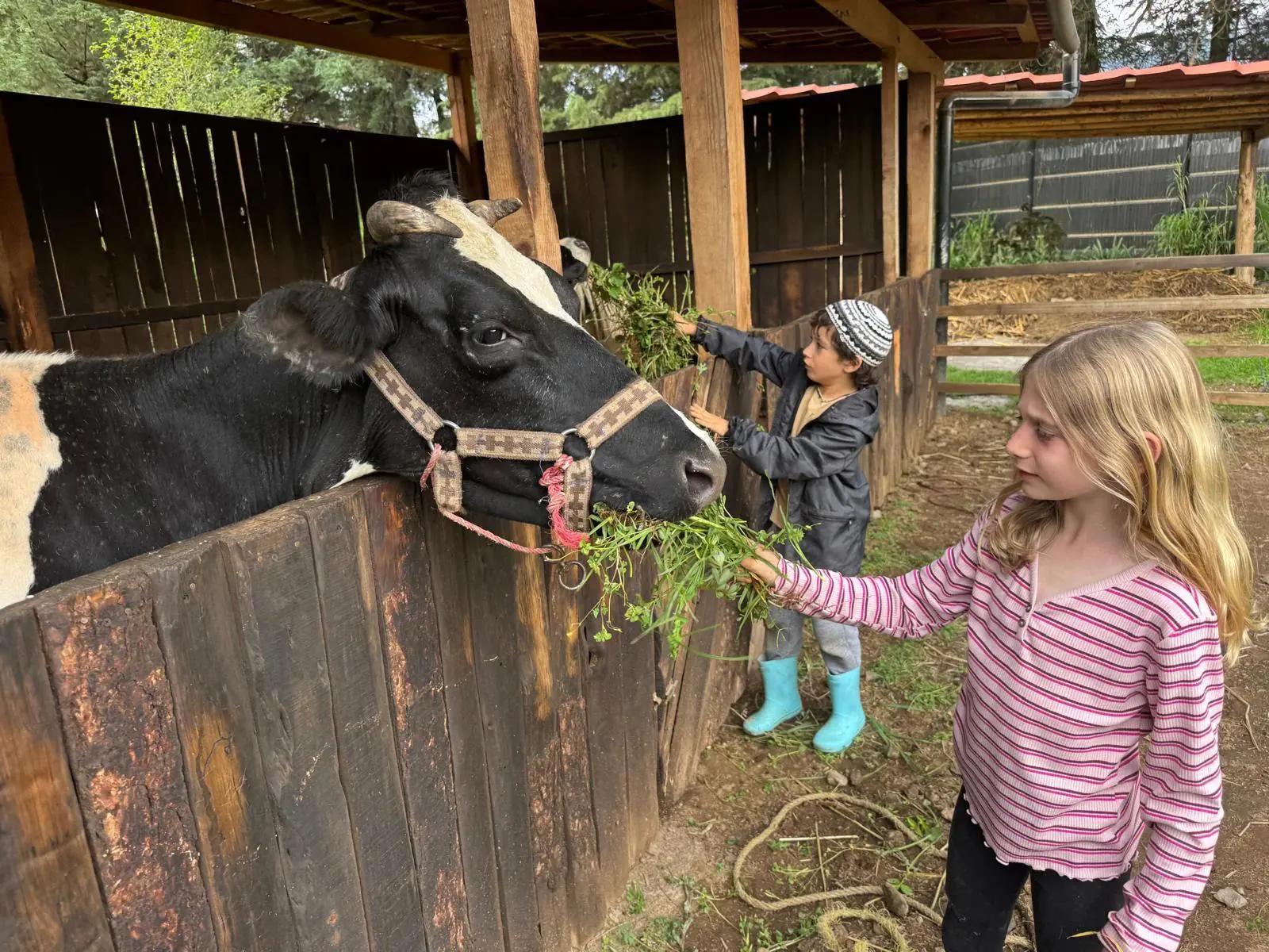 Farm Tour 3