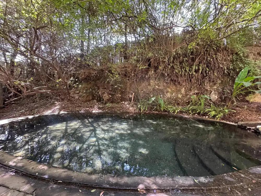Natural Spring Cold Plunge