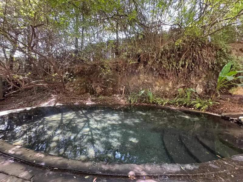 Natural Spring Cold Plunge