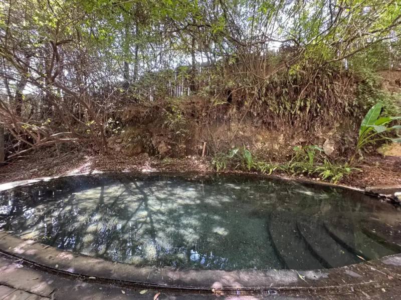 Natural Spring Cold Plunge