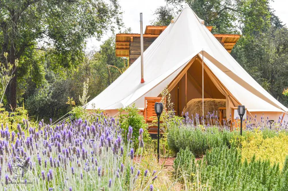 Exterior of an Attesi glamping tent surrounded by lavender and gardens