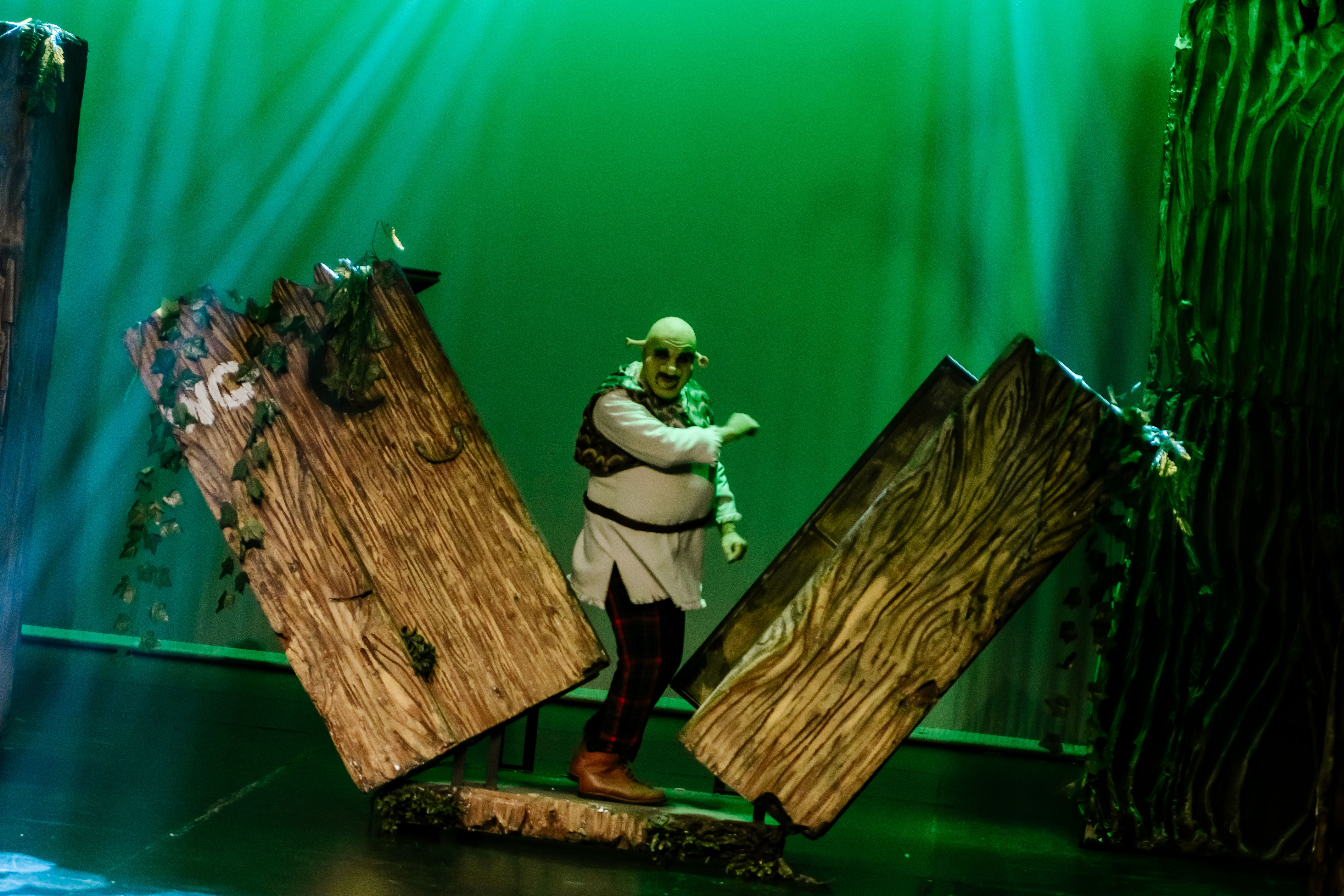 Shrek, o Musical - Foto 1