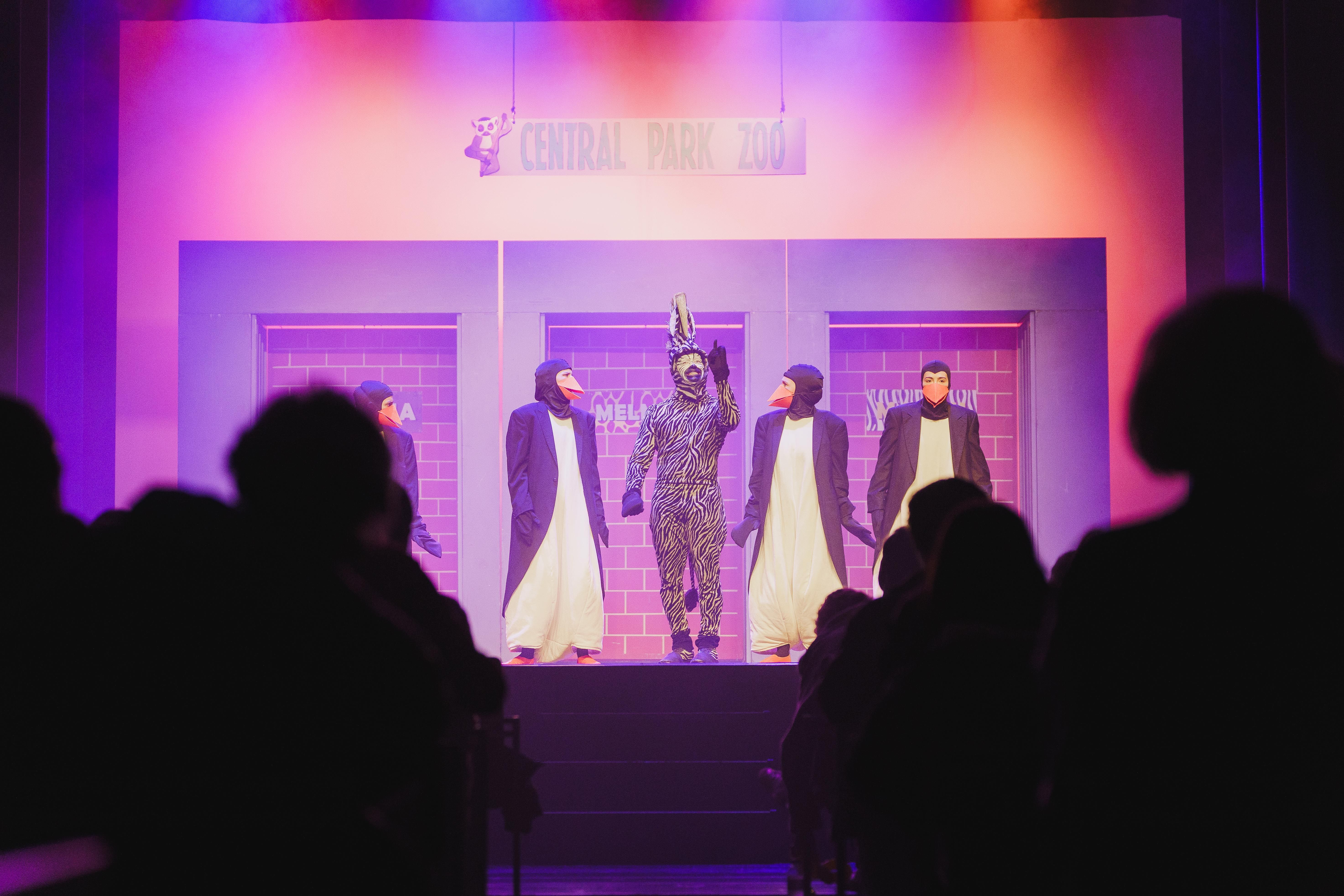 Madagáscar - Uma Aventura Musical - Foto 6