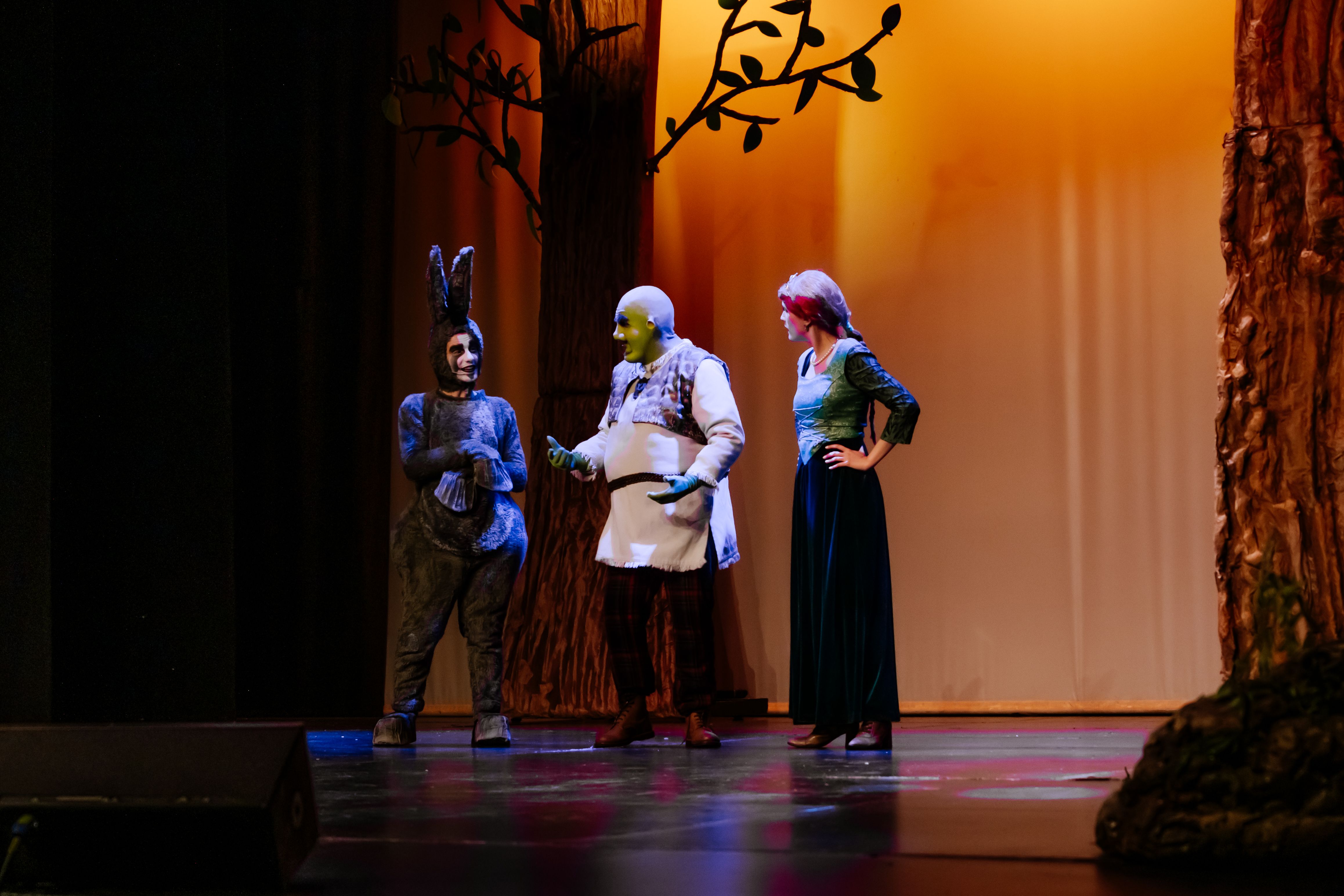 Shrek, o Musical - Foto 13