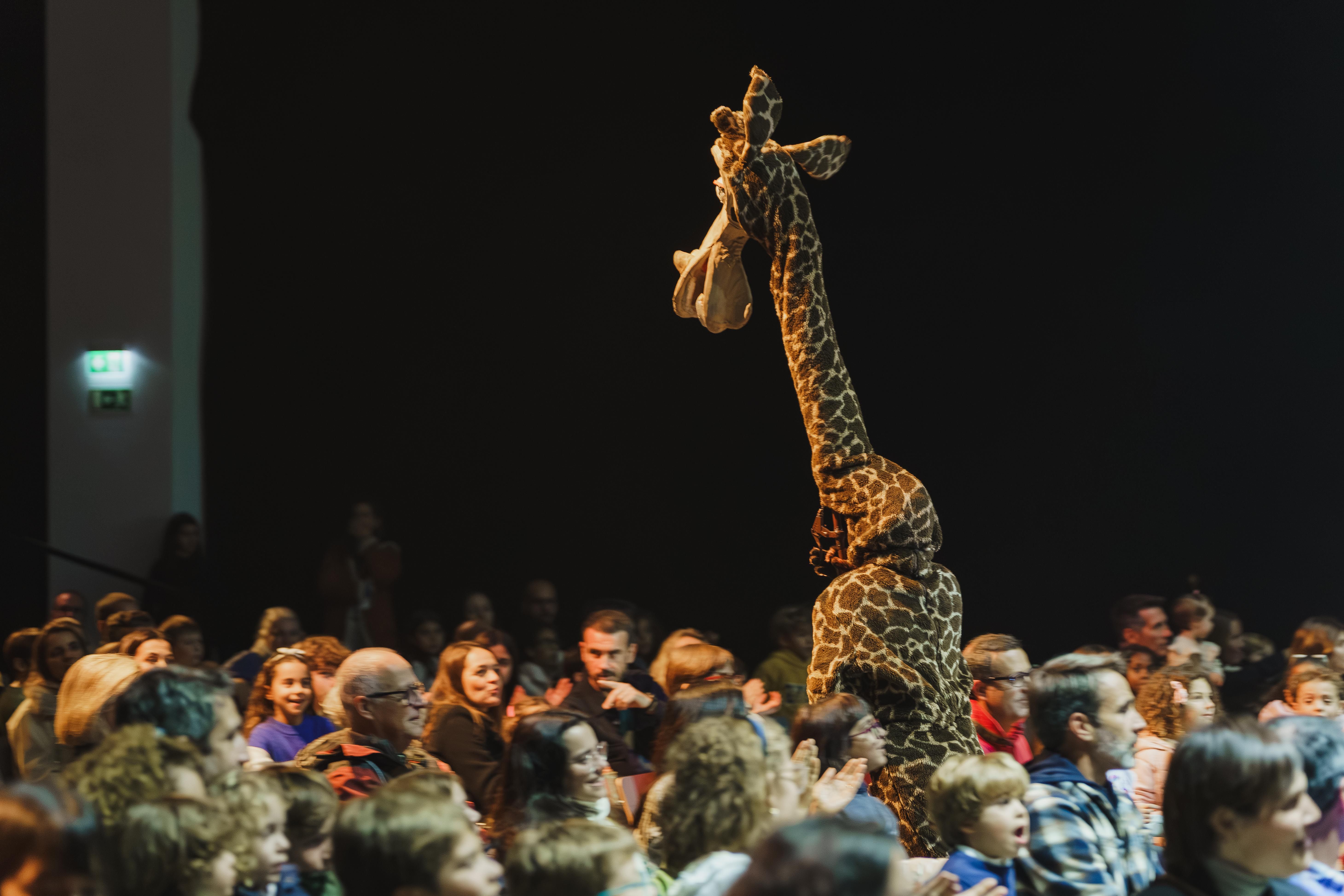 Madagáscar - Uma Aventura Musical - Foto 15