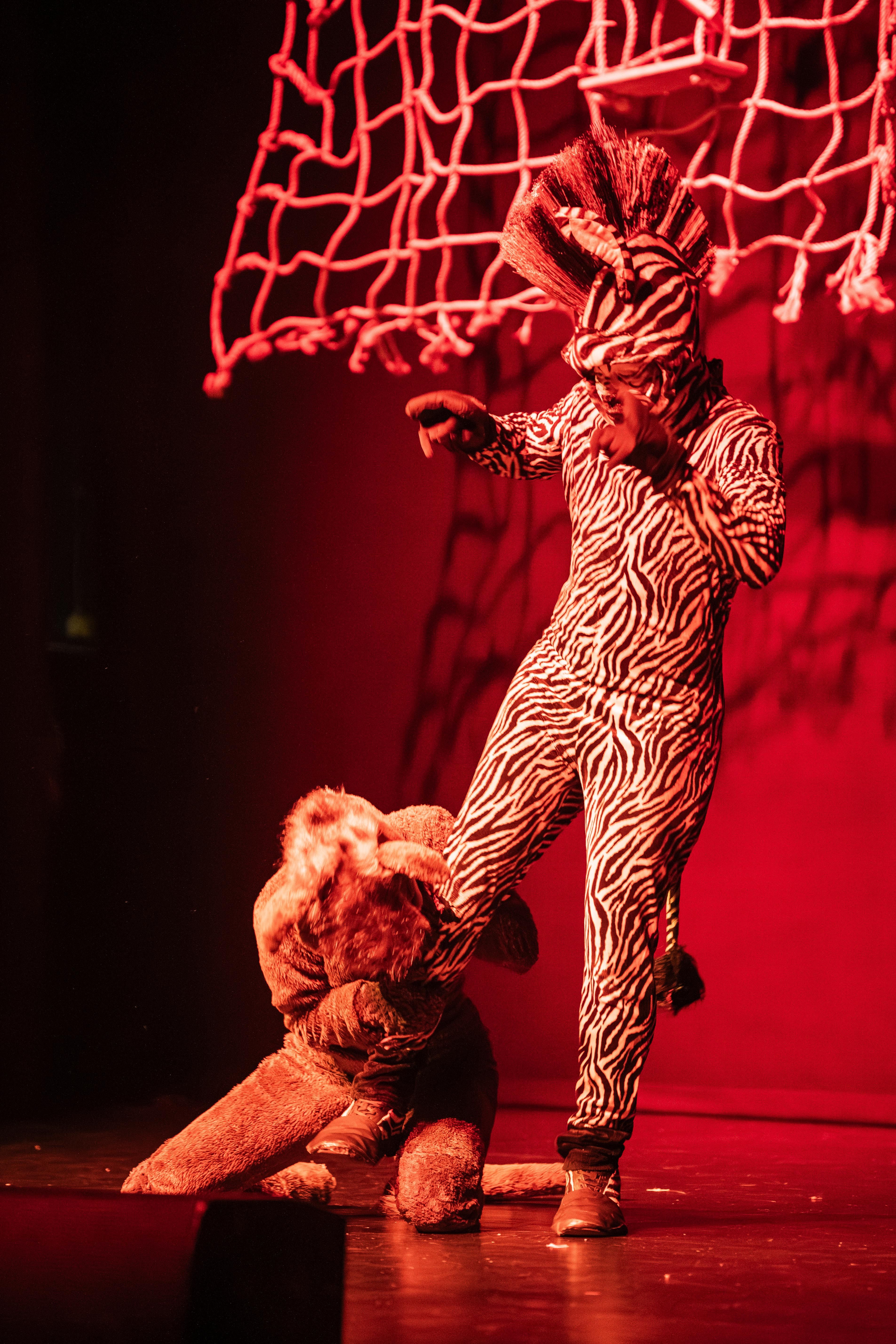 Madagáscar - Uma Aventura Musical - Foto 26