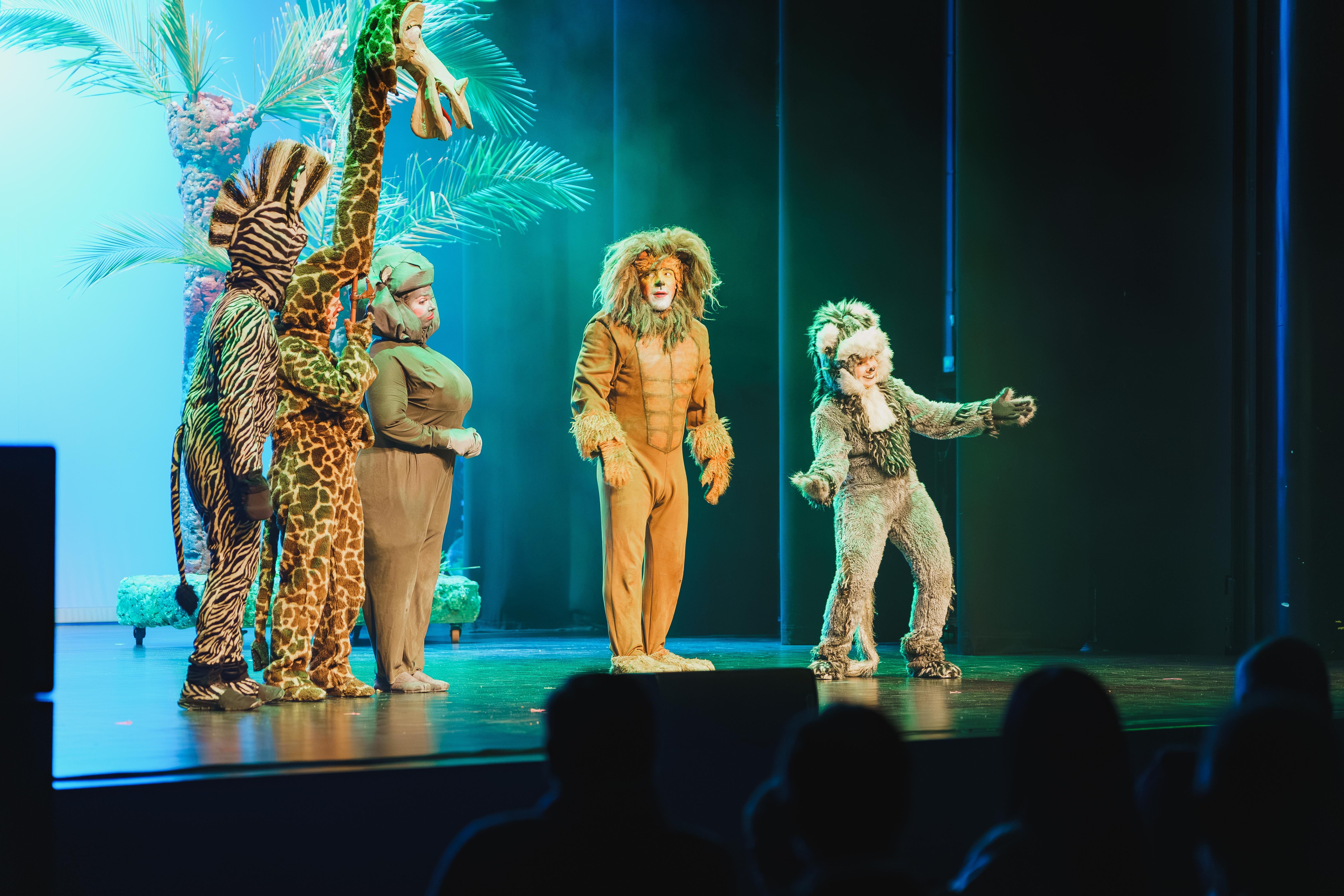 Madagáscar - Uma Aventura Musical - Foto 10