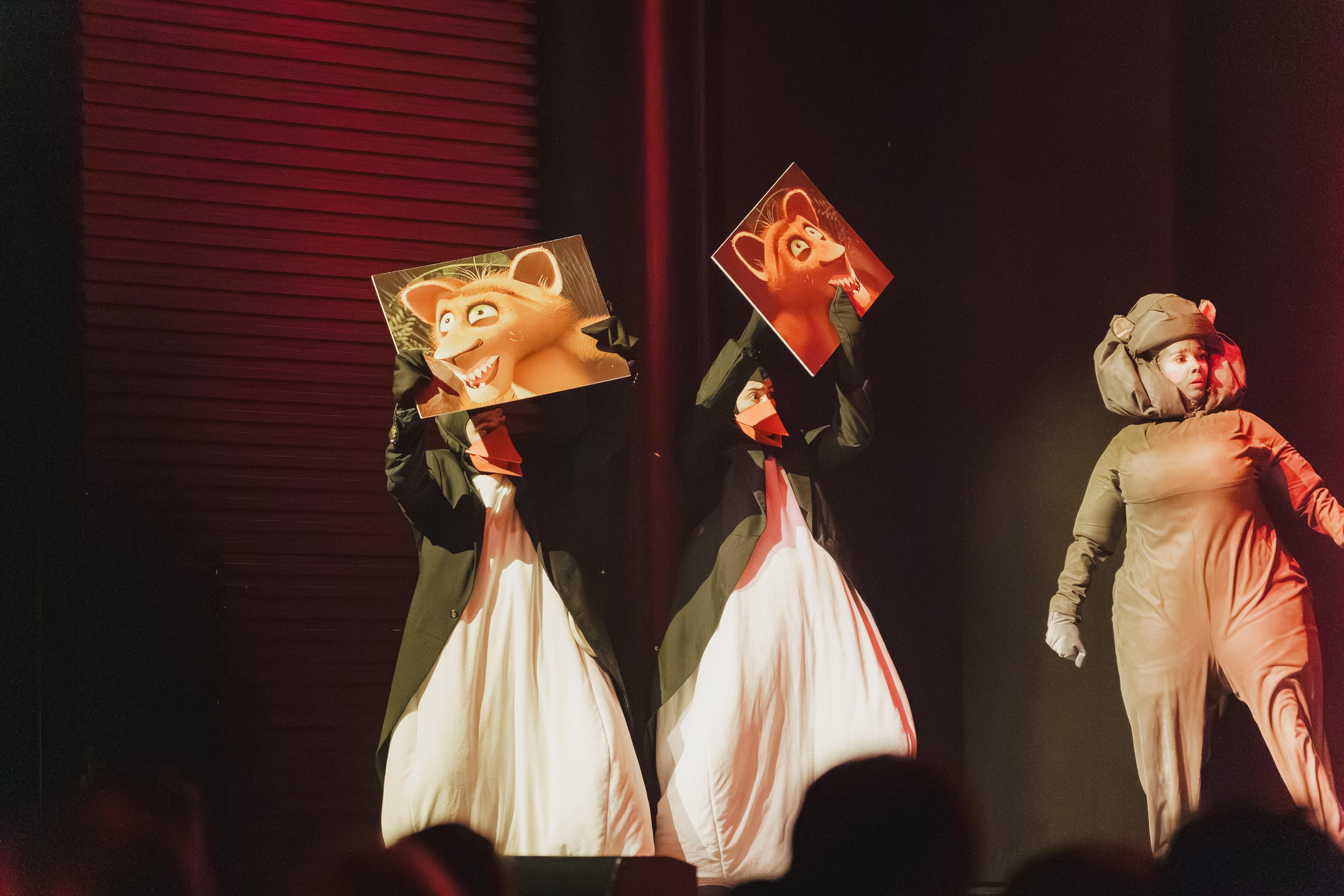 Madagáscar - Uma Aventura Musical - Foto 28