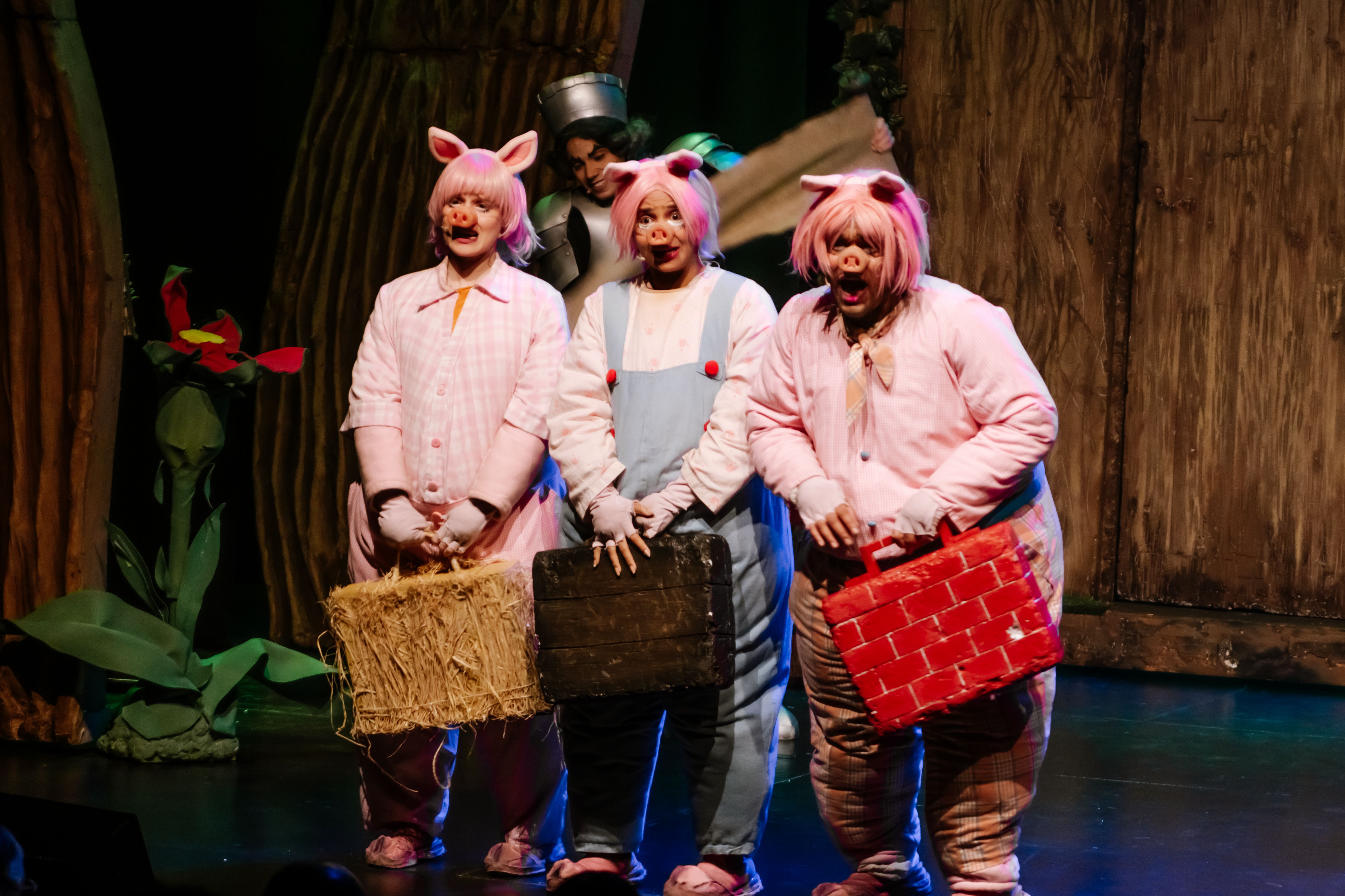 Shrek, o Musical - Foto 3