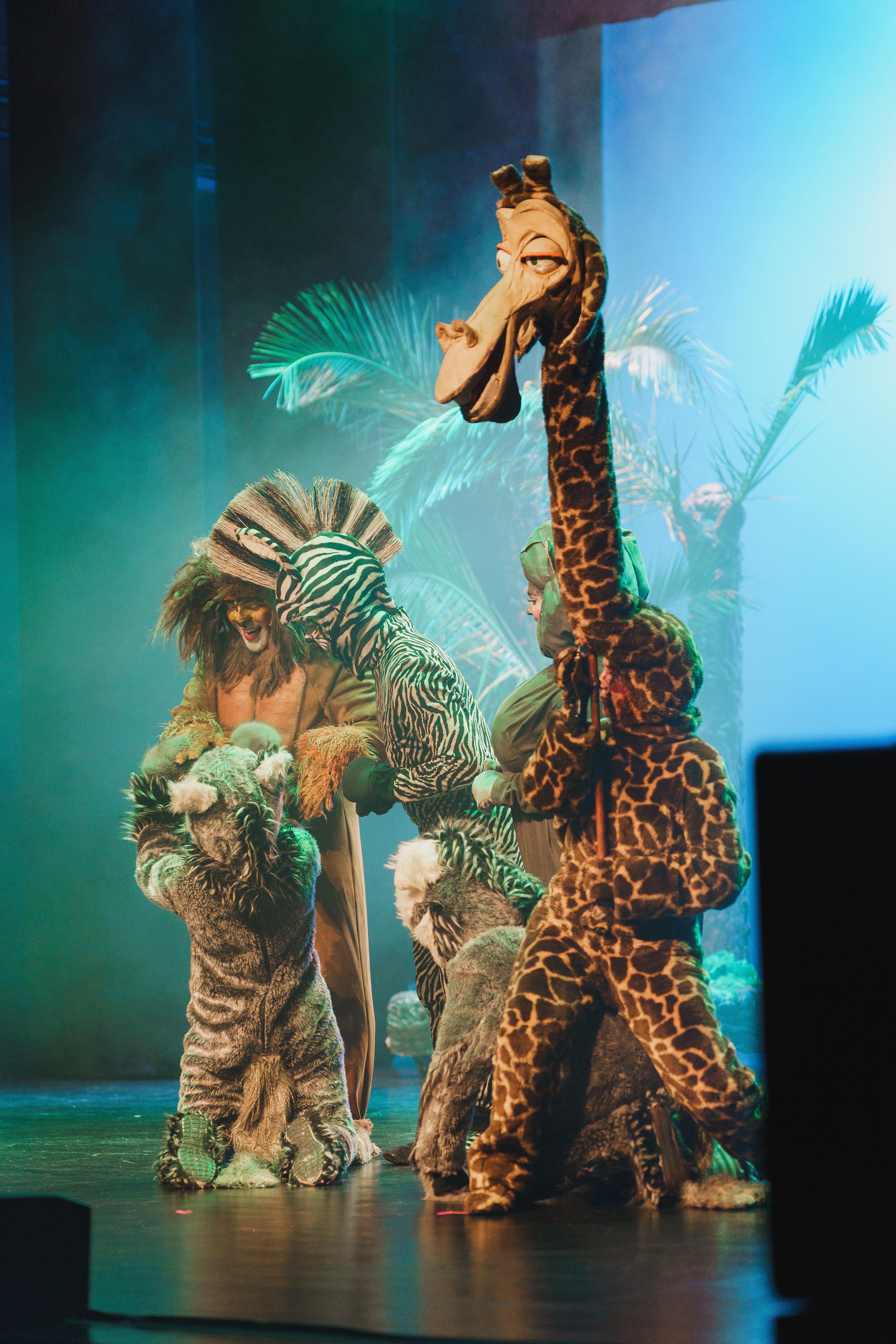 Madagáscar - Uma Aventura Musical - Foto 19