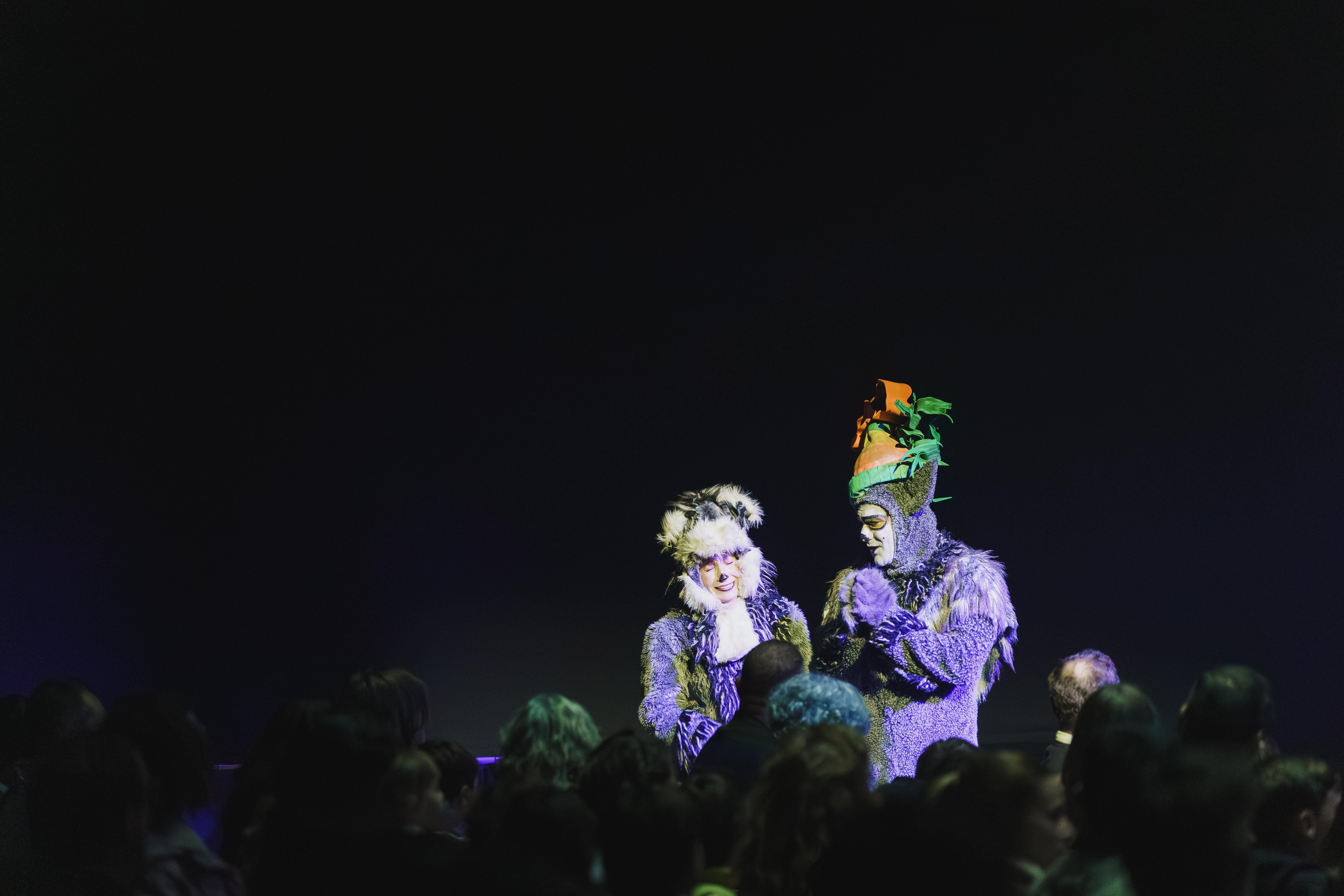 Madagáscar - Uma Aventura Musical - Foto 22