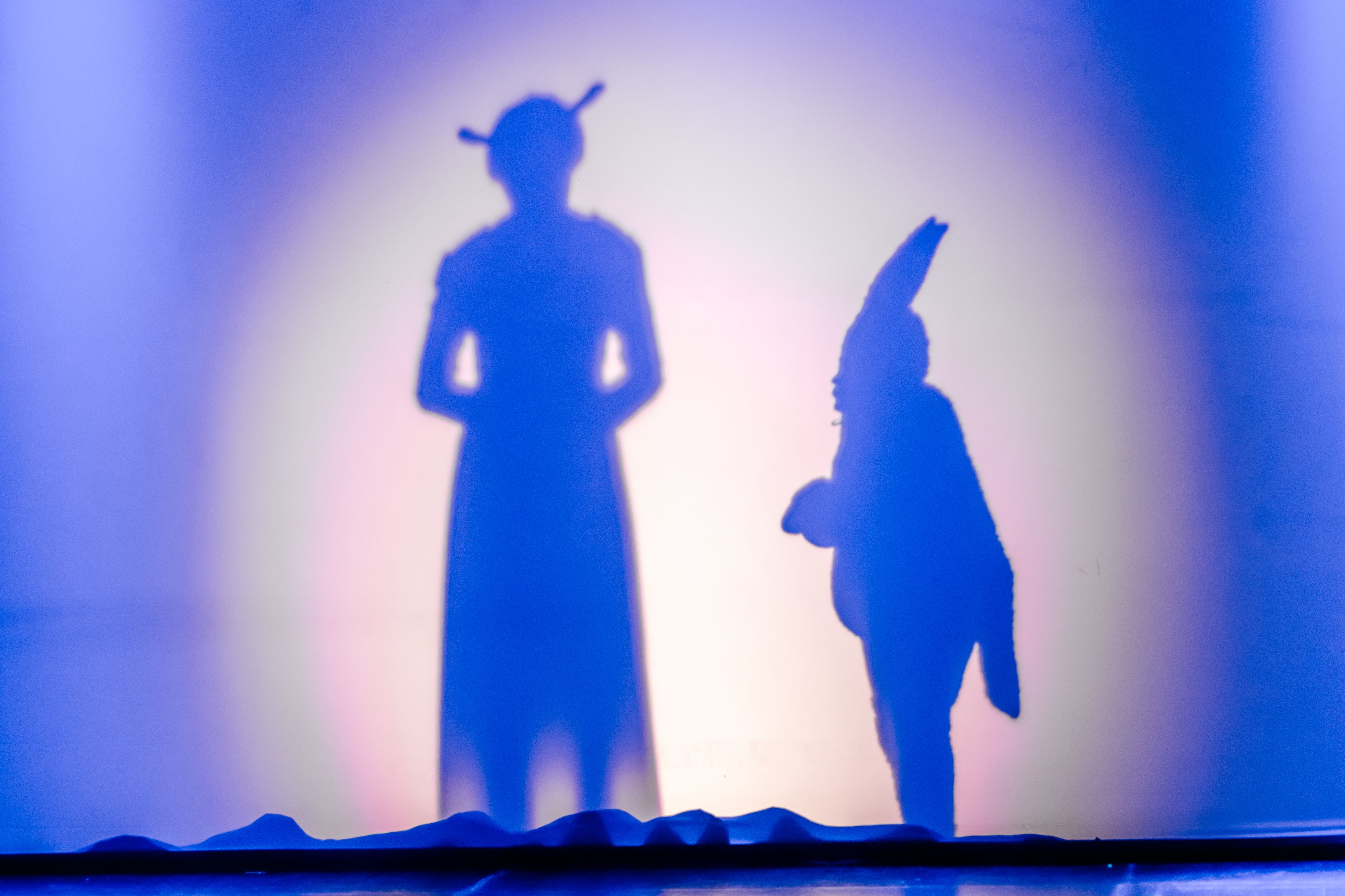 Shrek, o Musical - Foto 14