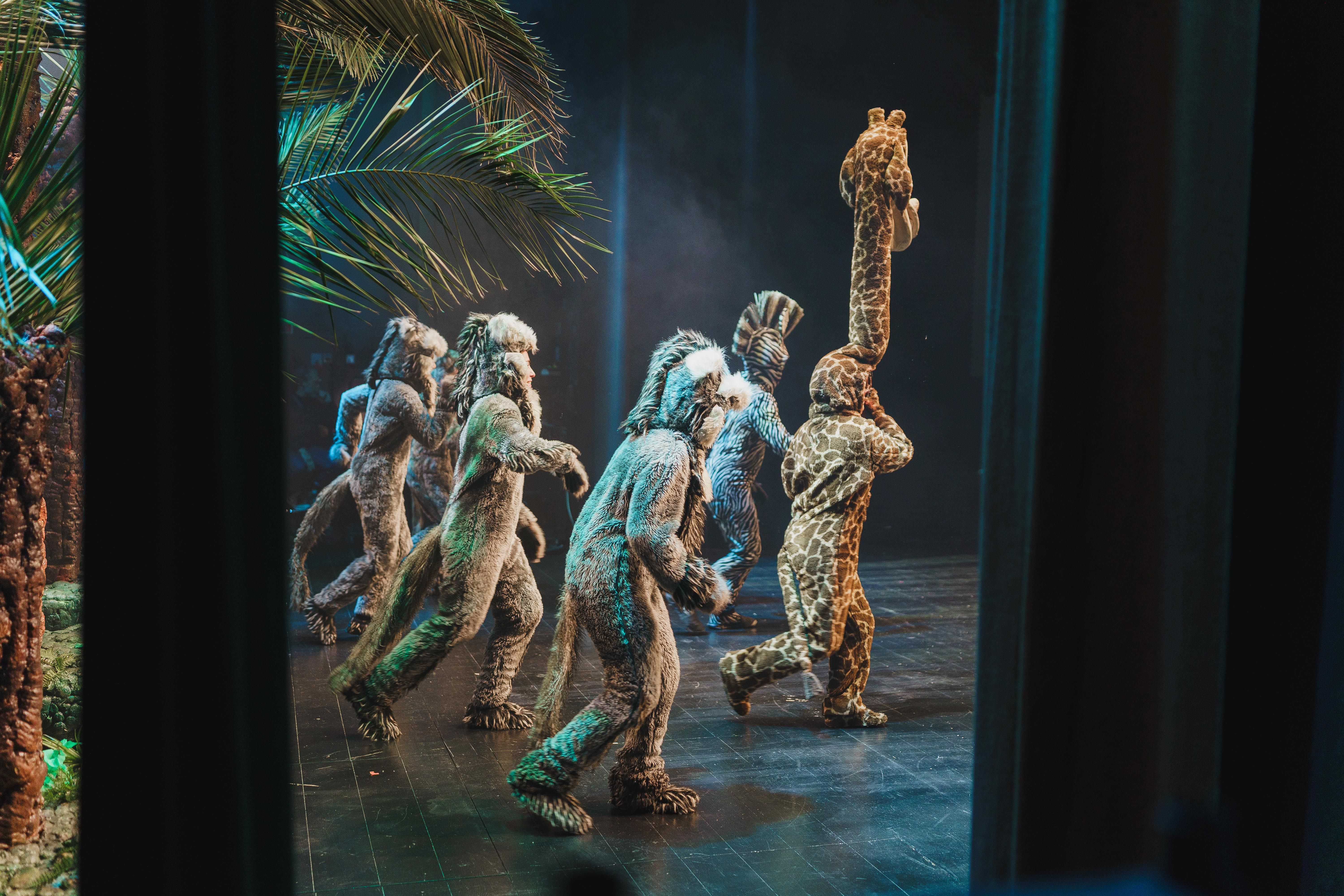 Madagáscar - Uma Aventura Musical - Foto 24