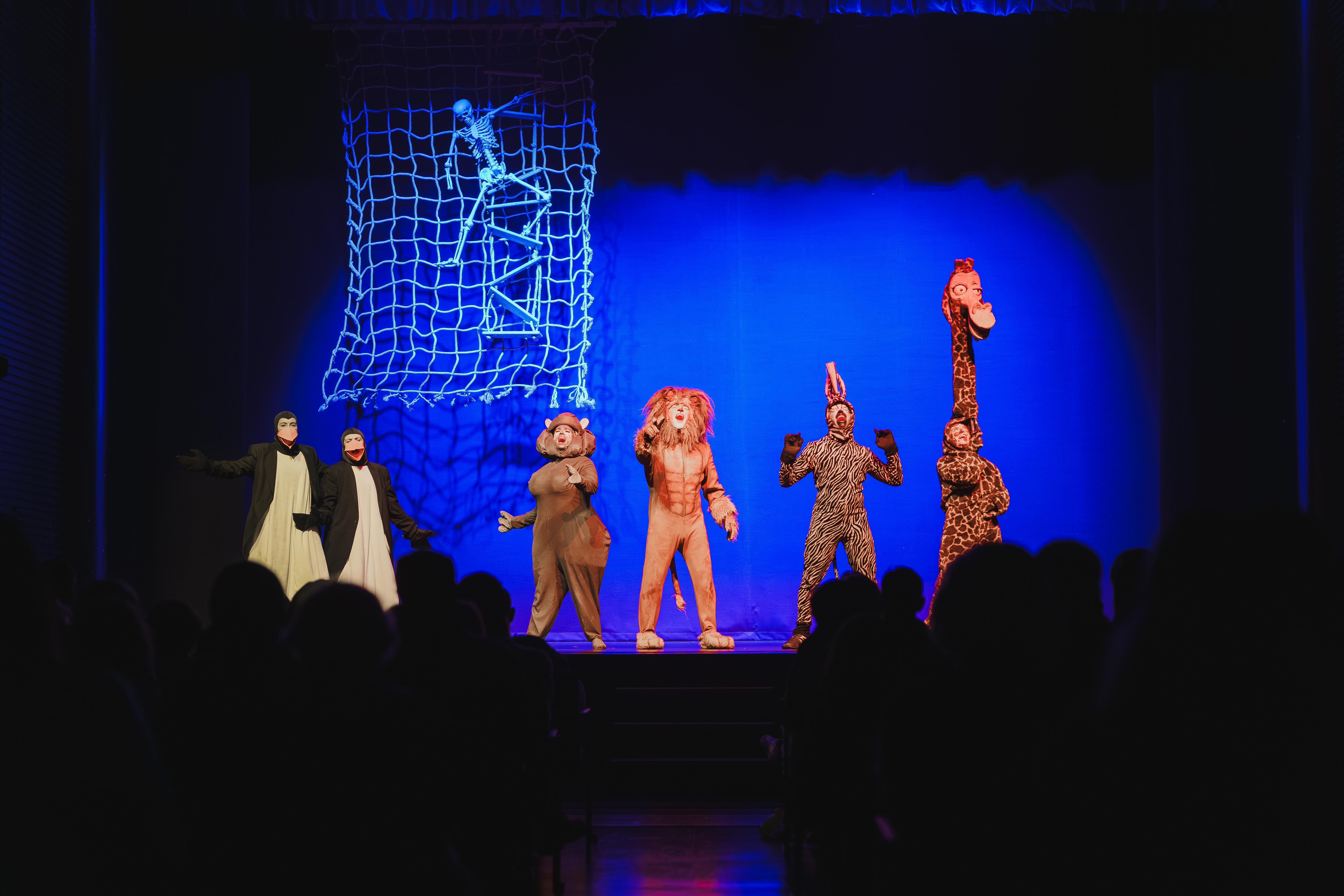 Madagáscar - Uma Aventura Musical - Foto 29