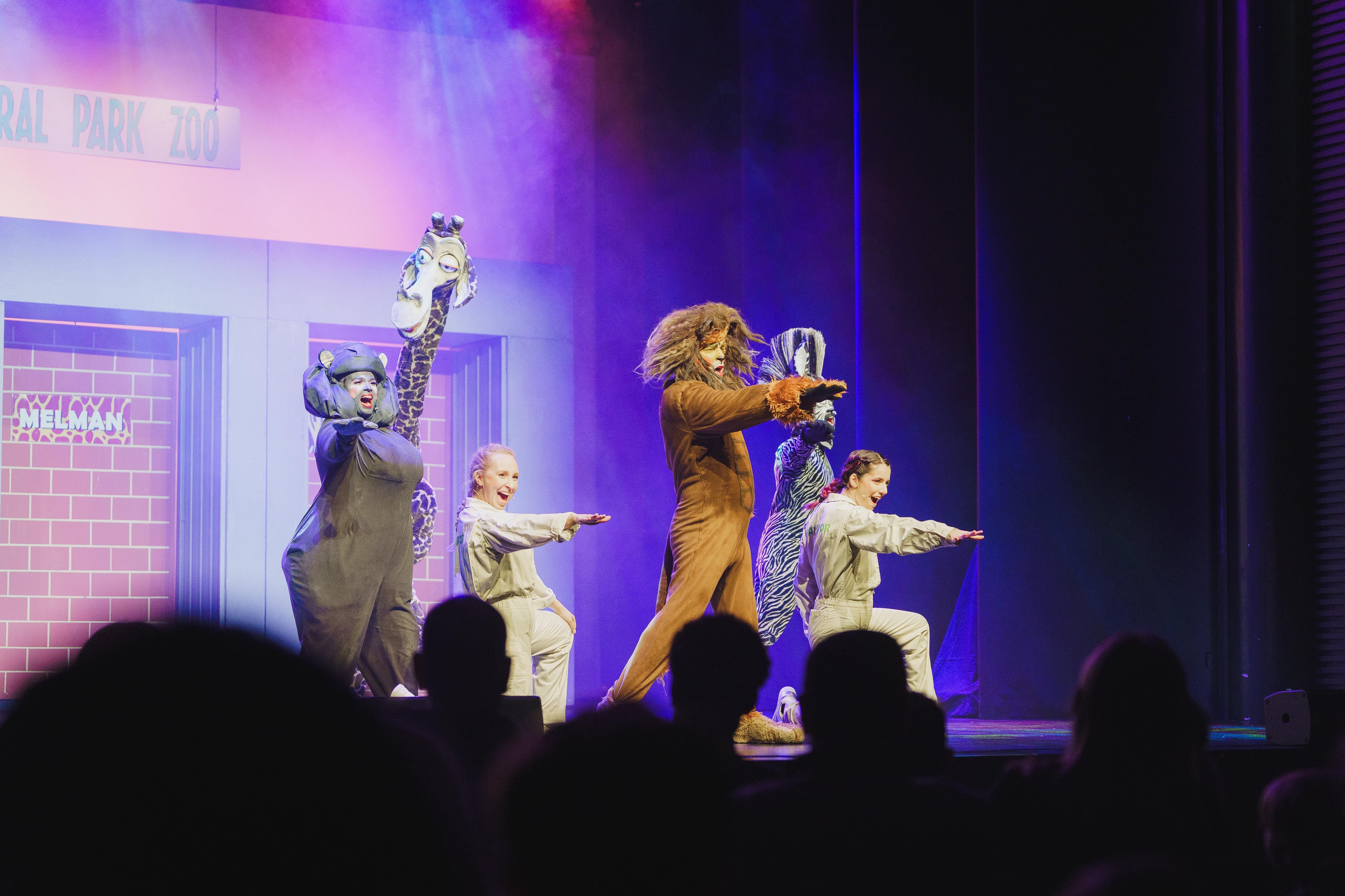 Madagáscar - Uma Aventura Musical - Foto 2