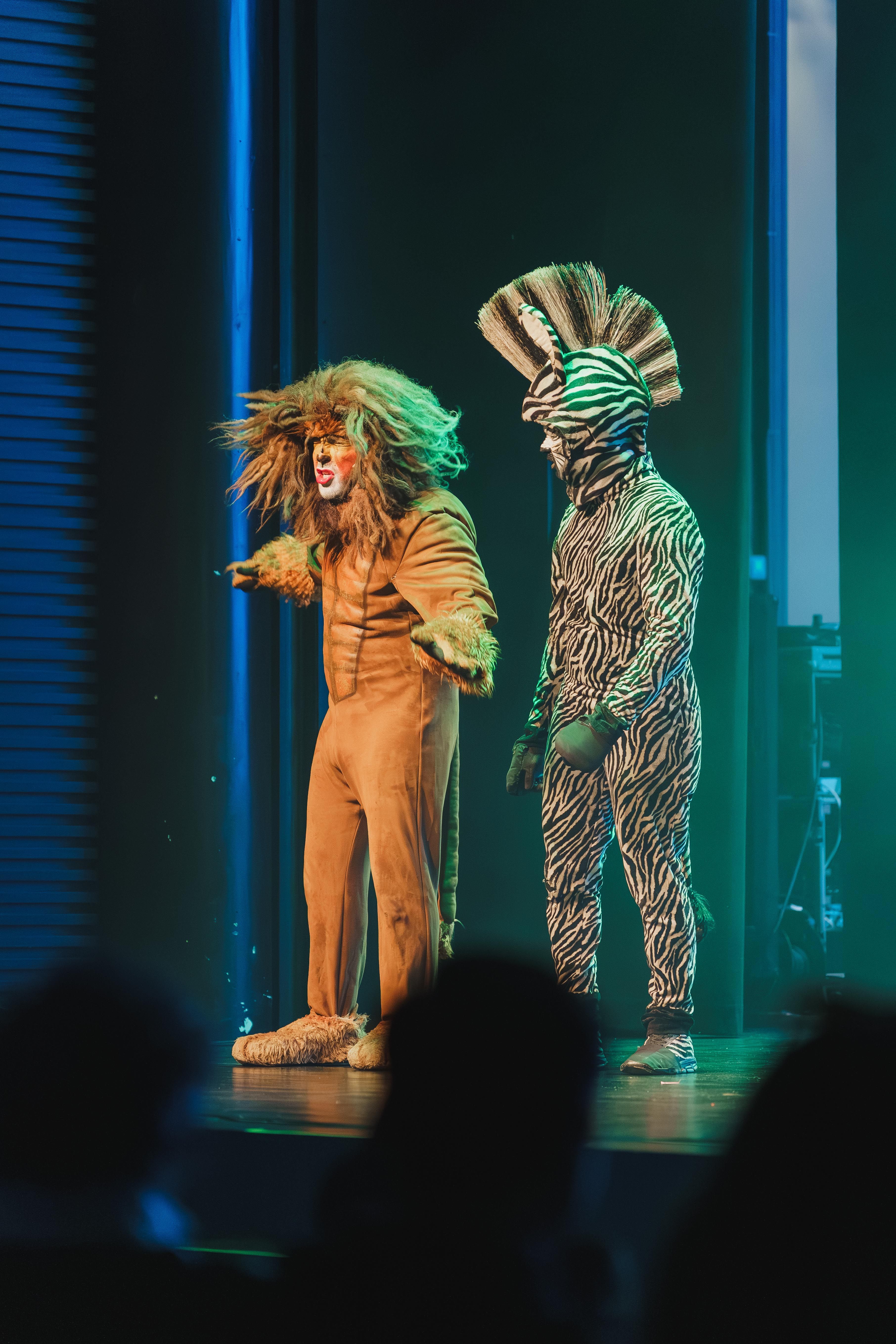 Madagáscar - Uma Aventura Musical - Foto 17