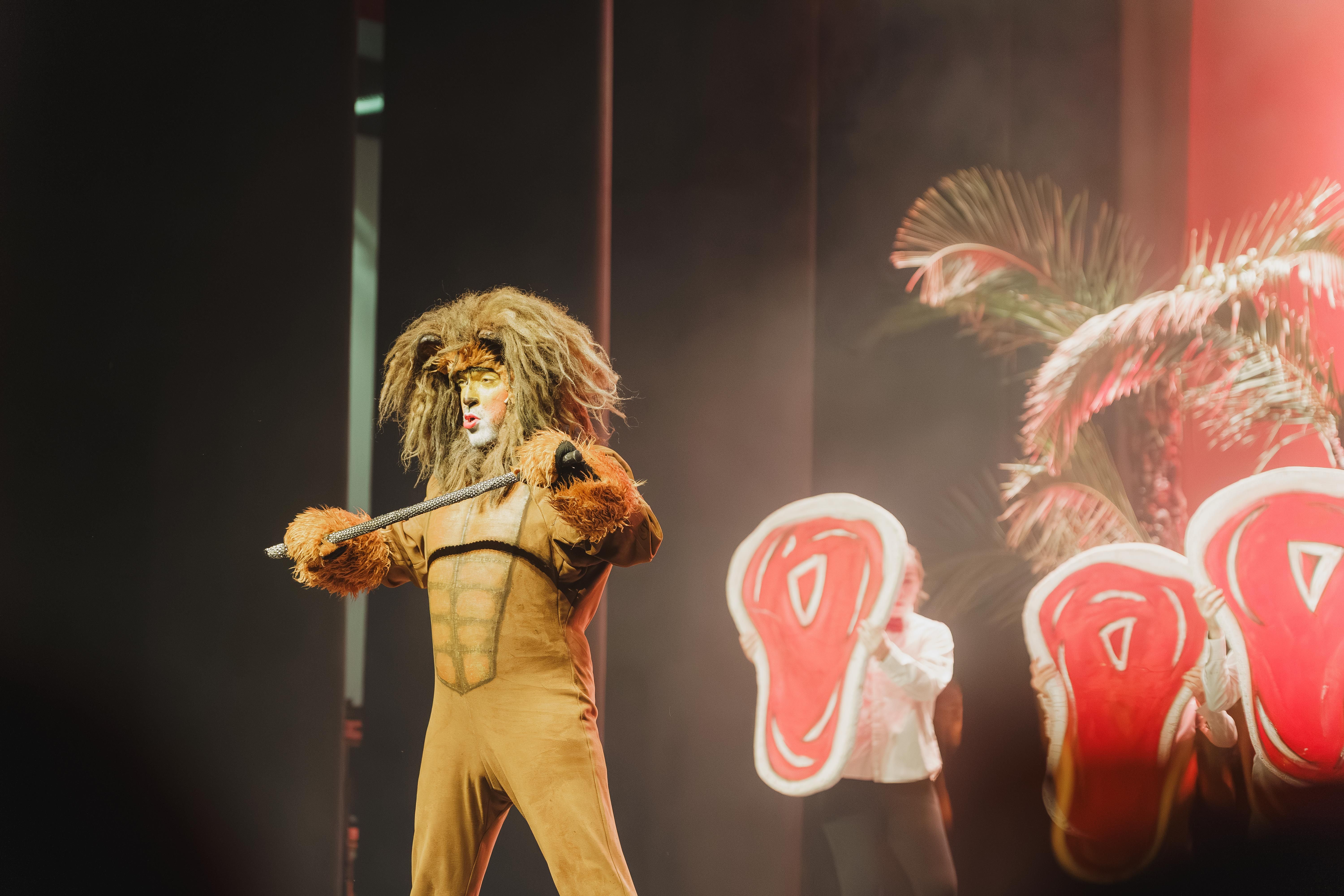 Madagáscar - Uma Aventura Musical - Foto 21