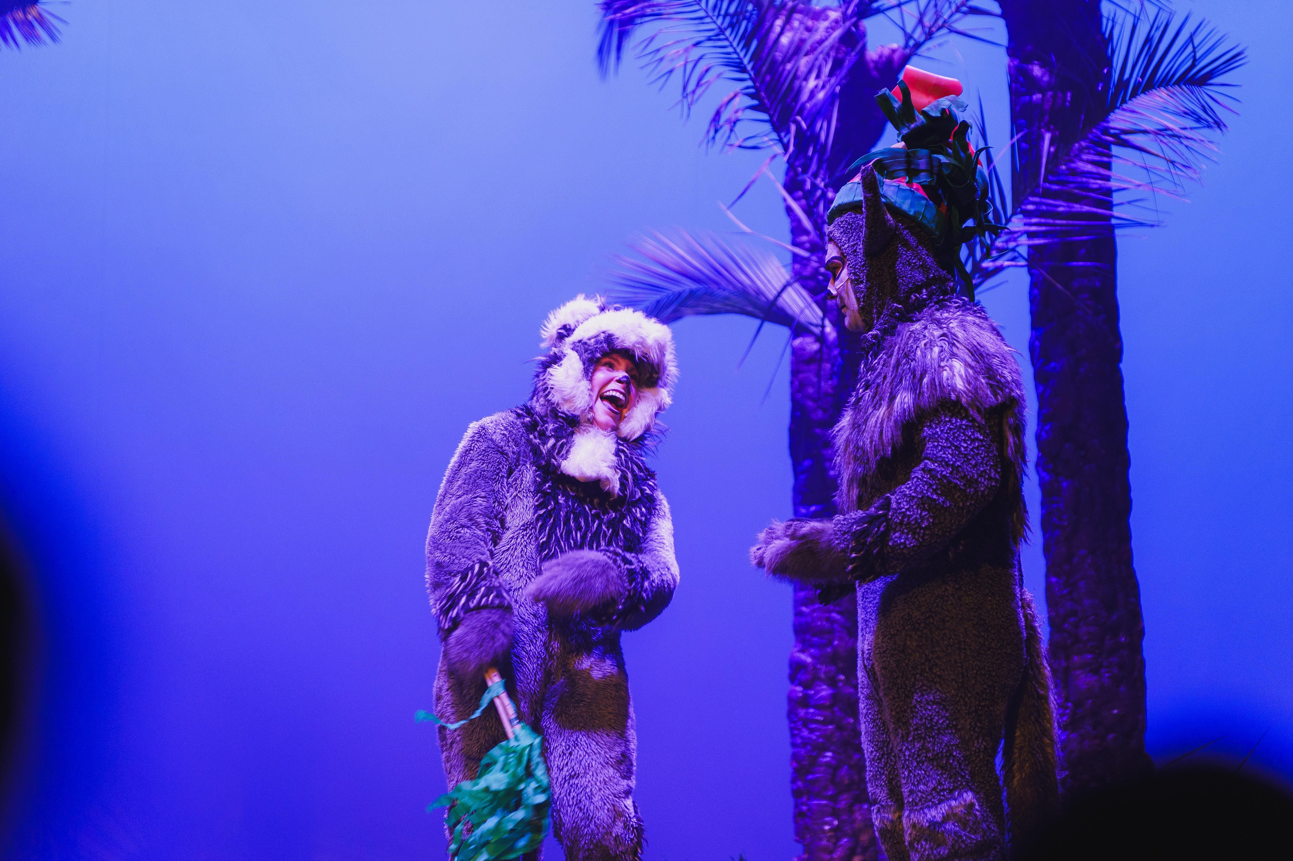 Madagáscar - Uma Aventura Musical - Foto 18