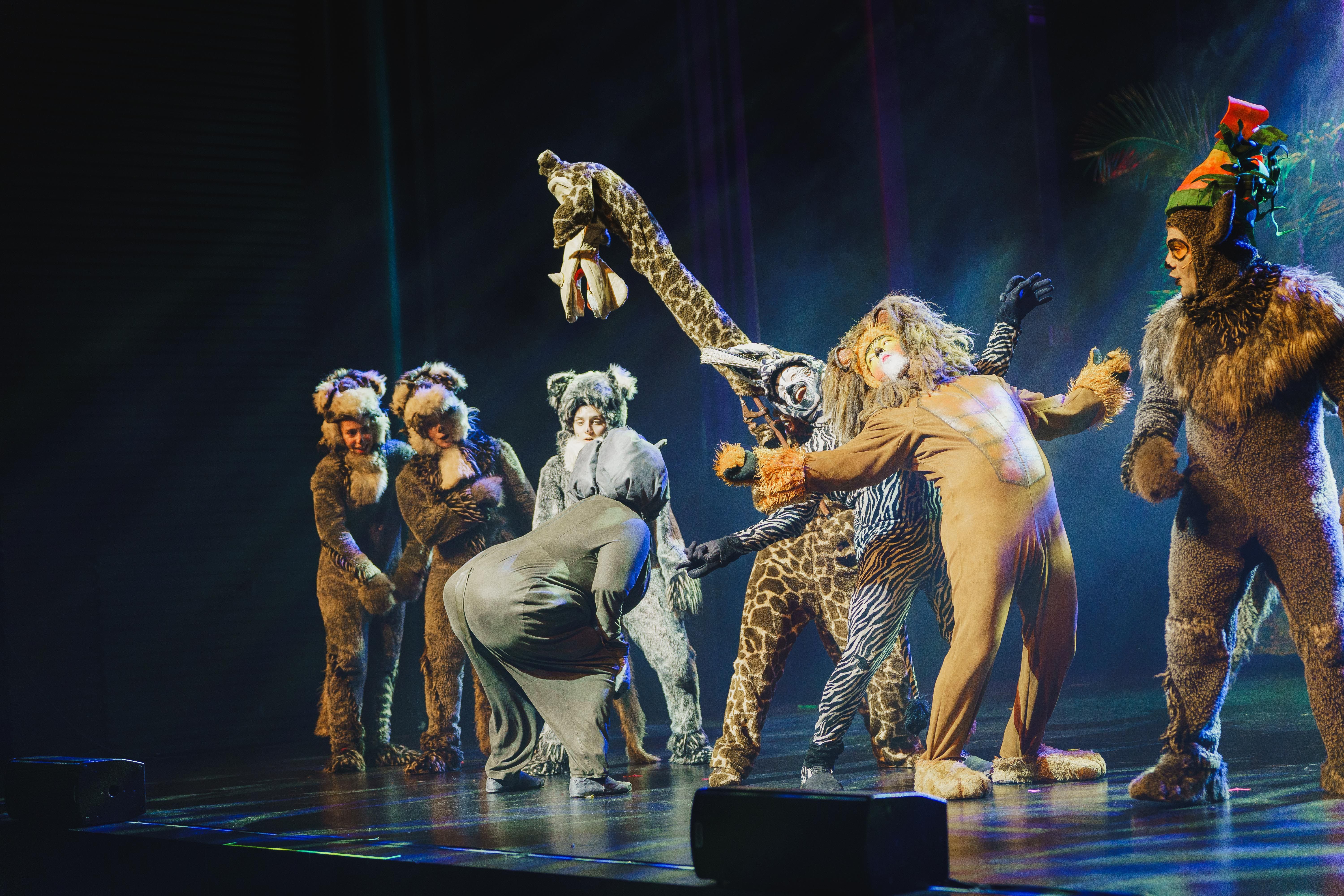 Madagáscar - Uma Aventura Musical - Foto 14