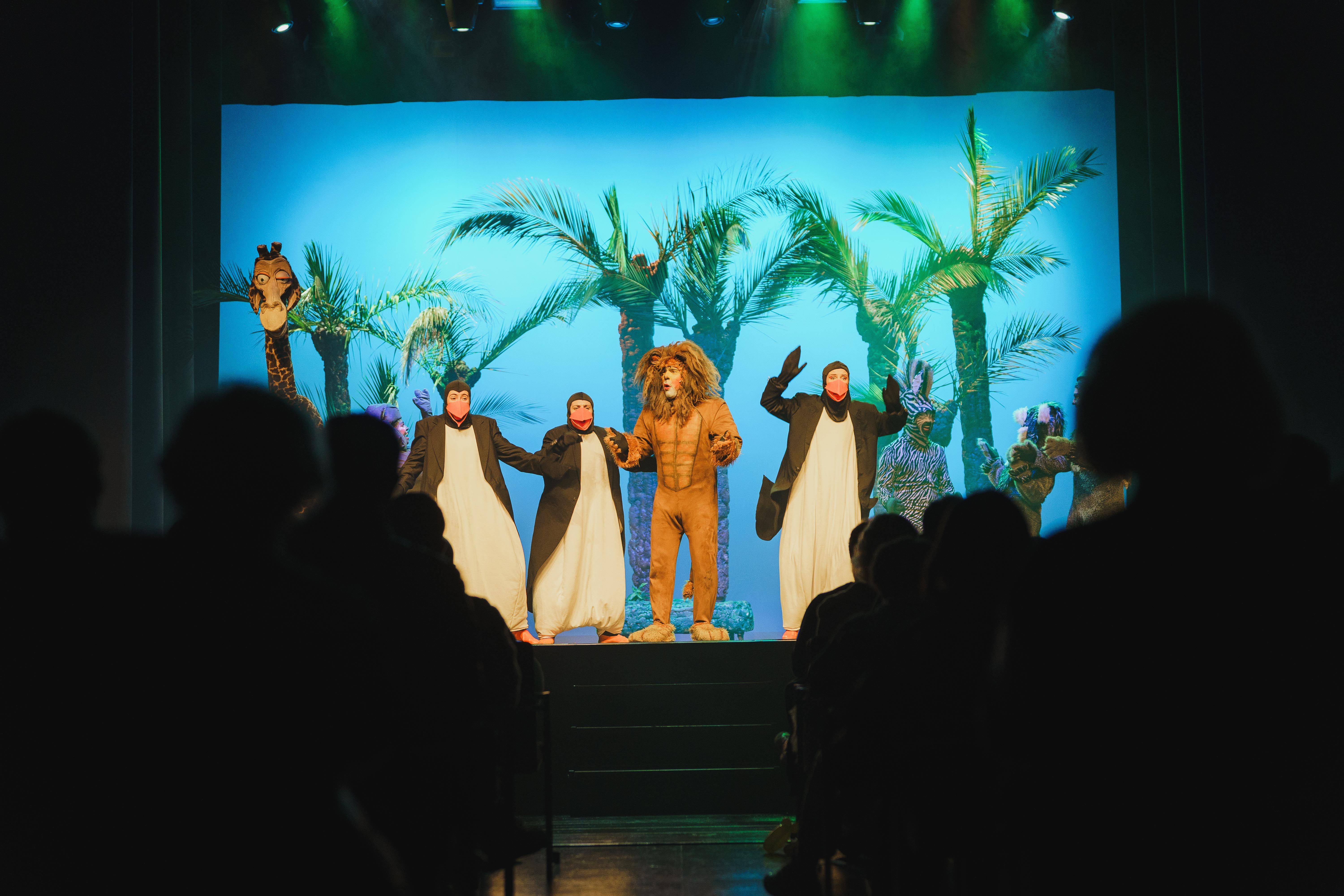 Madagáscar - Uma Aventura Musical - Foto 30