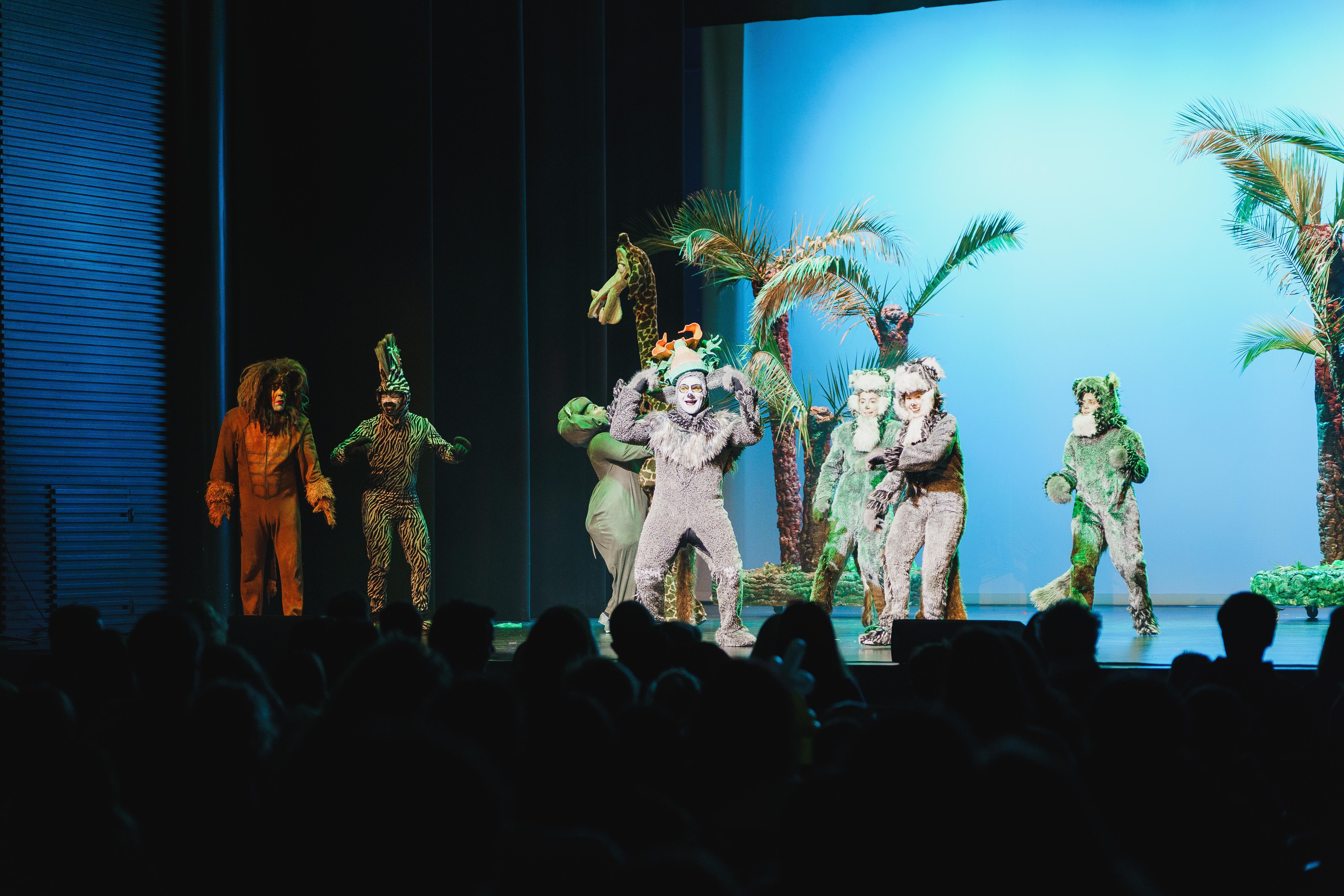 Madagáscar - Uma Aventura Musical - Foto 11