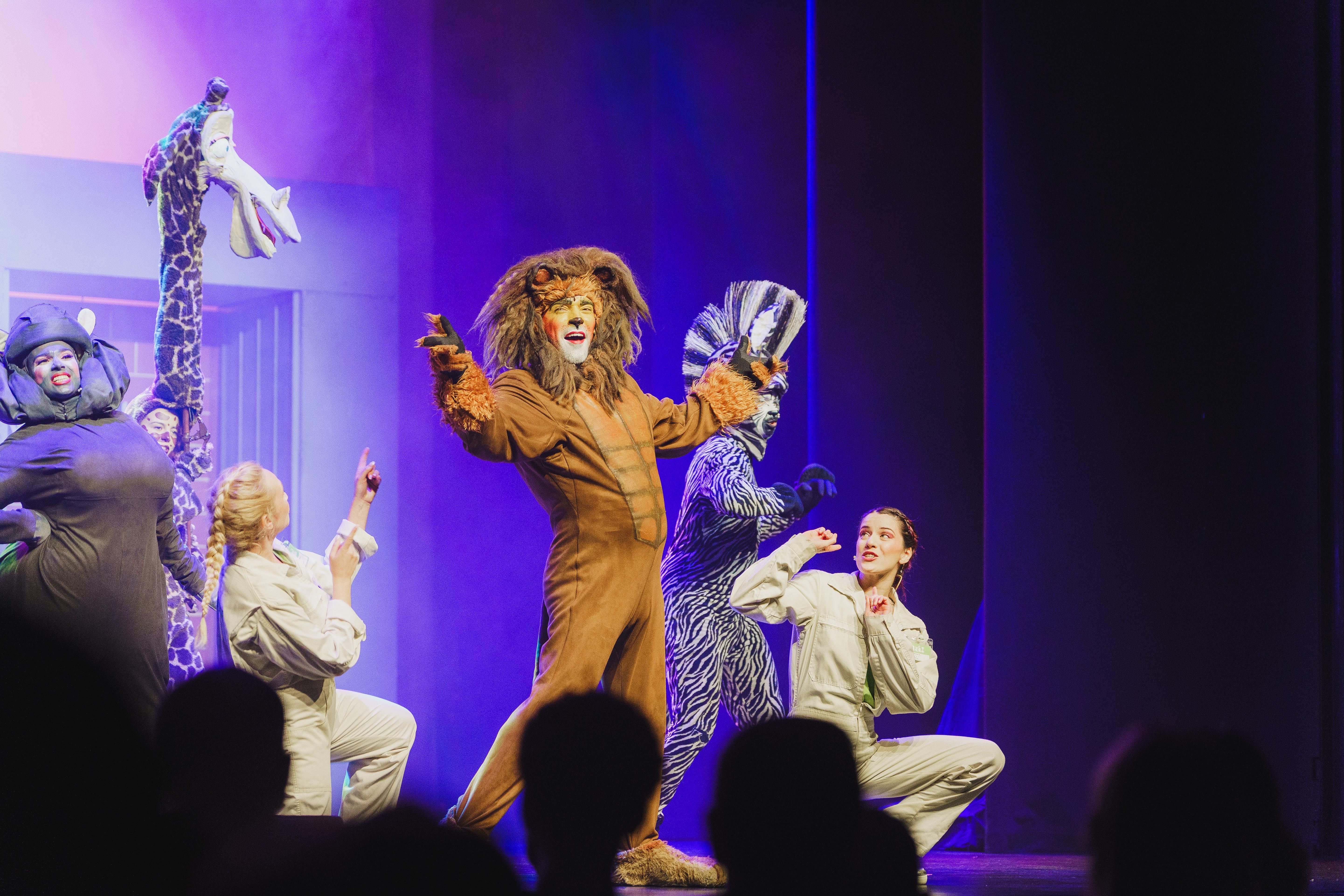 Madagáscar - Uma Aventura Musical - Foto 3