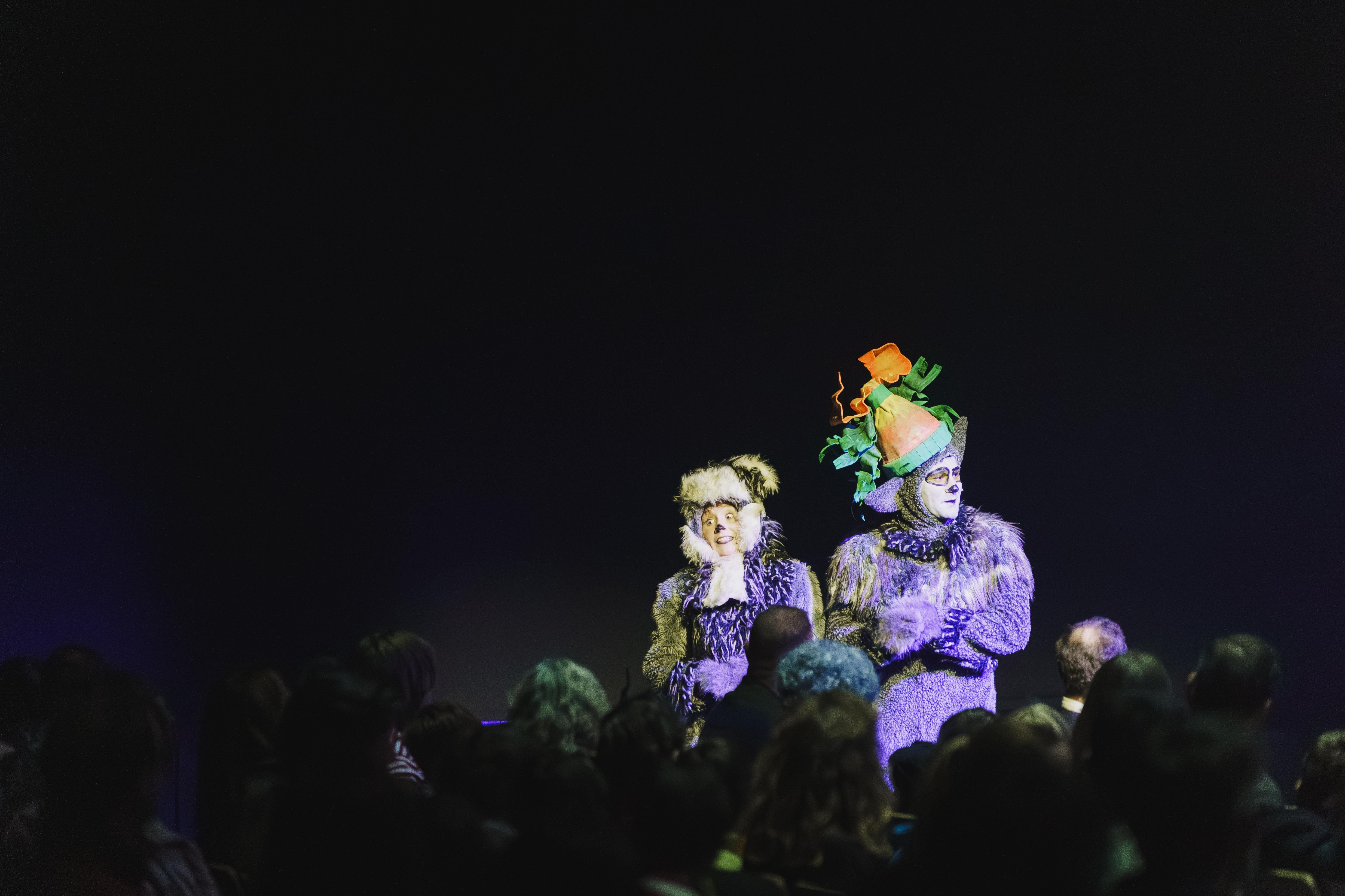 Madagáscar - Uma Aventura Musical - Foto 23